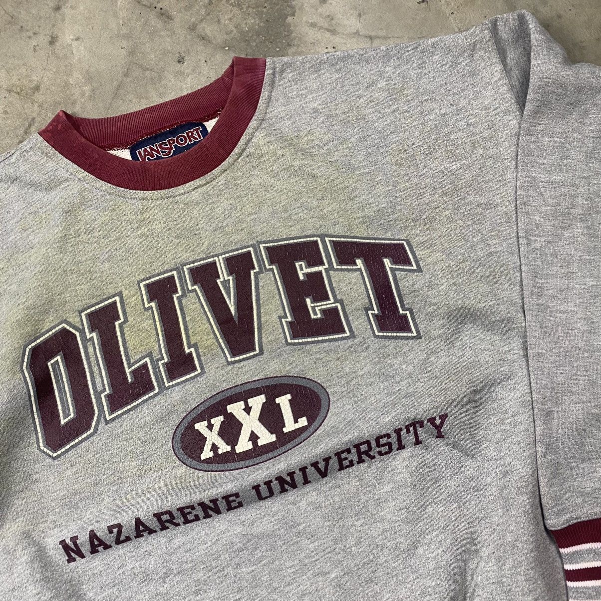 Jansport y2k Olivet Nazarene University Boxy Crewneck Size US L / EU 52-54 / 3 - 6 Thumbnail