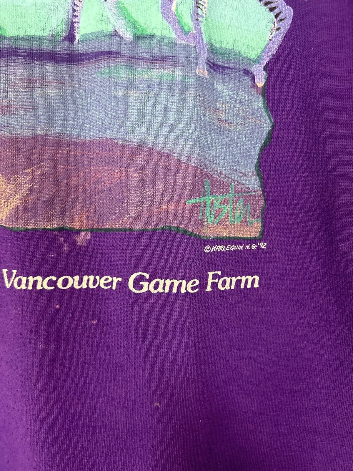 Vintage Vintage 1992 Harlequin Nature Graphics Zebra Tee Size US L / EU 52-54 / 3 - 3 Thumbnail