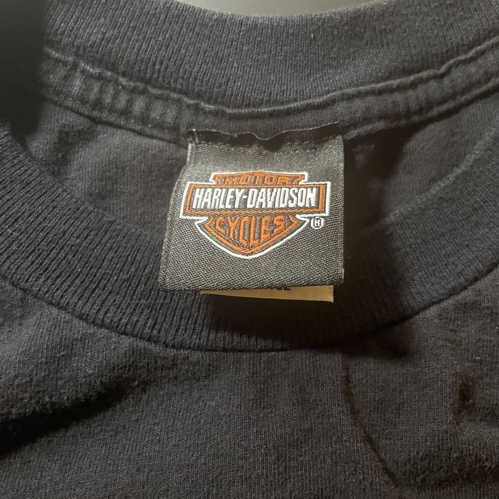 Harley Davidson Harley Davidson Experience The Freedom Arizona Vintage tank Size US L / EU 52-54 / 3 - 3 Thumbnail