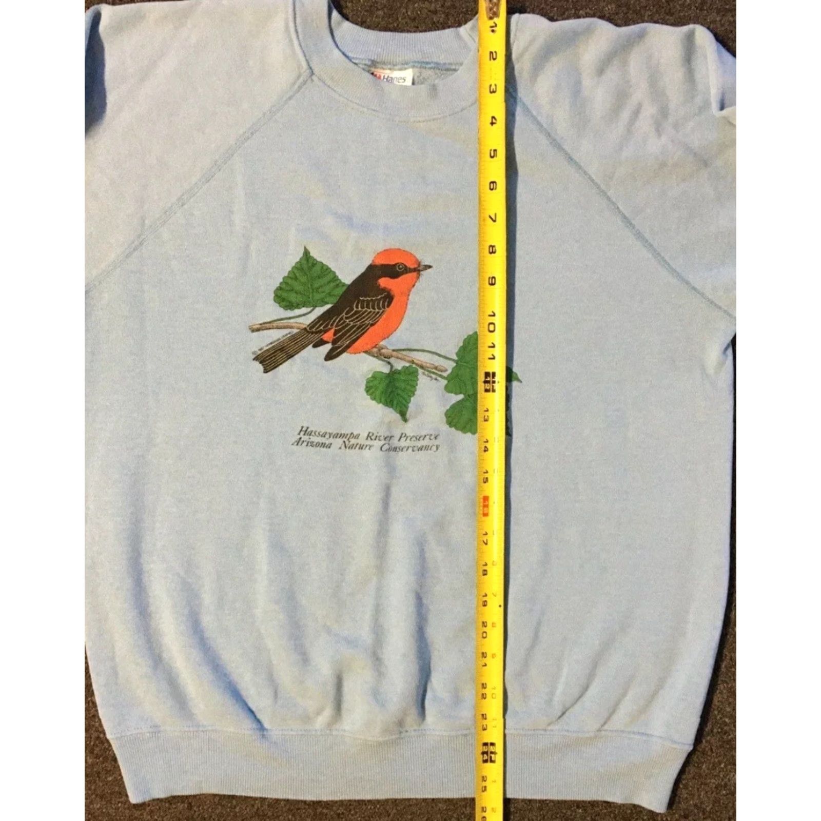 Hanes VINTAGE Arizona Nature Conservancy Bird Sweatshirt M USA Animal Art Grunge 90s Shirt Men M Blue Hanes Crew Neck Long Sleeve Size US M / EU 48-50 / 2 - 8 Thumbnail