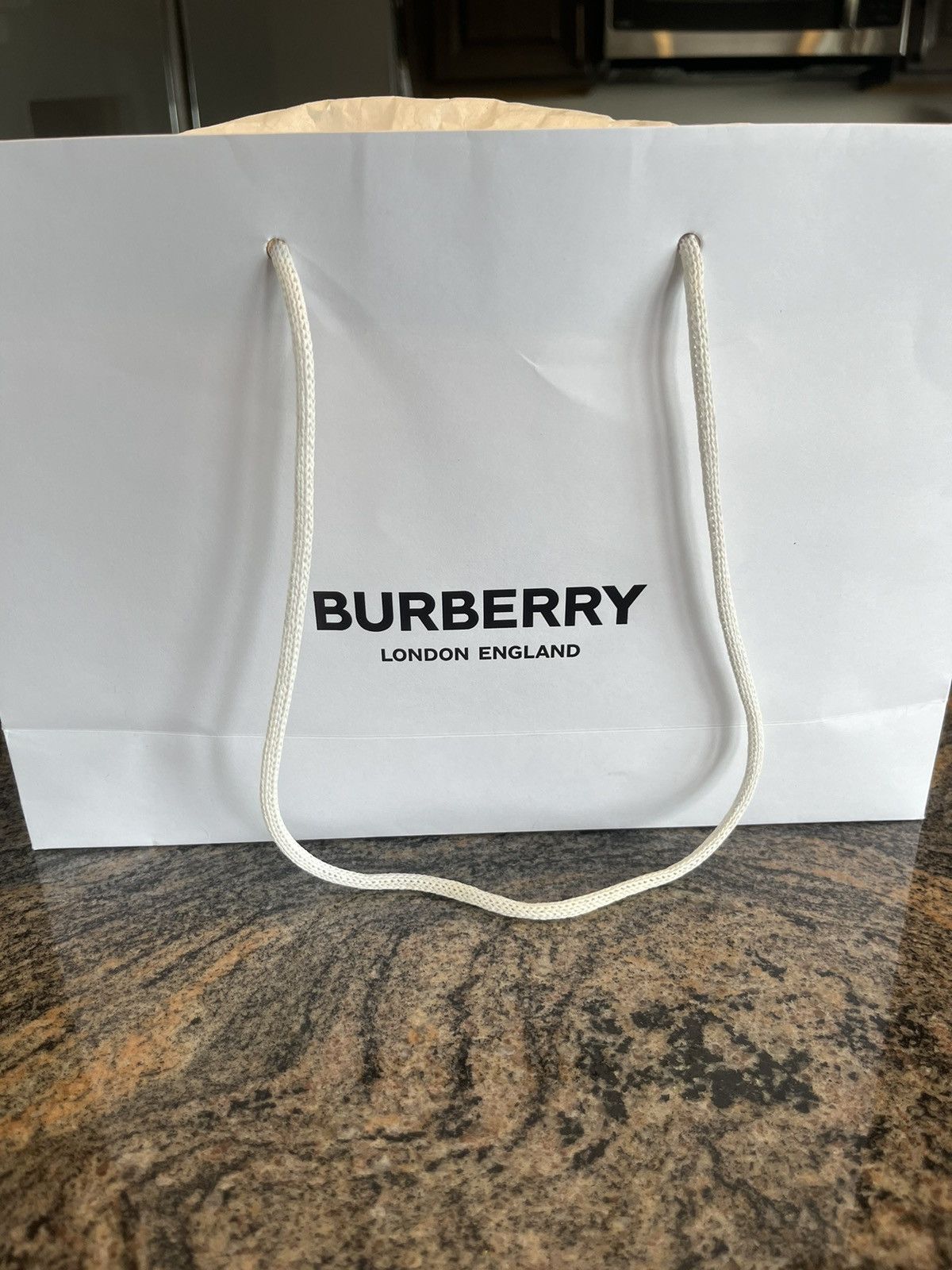 Burberry Burberry Embroidered Logo T Shirt Size US XL / EU 56 / 4 - 10 Thumbnail