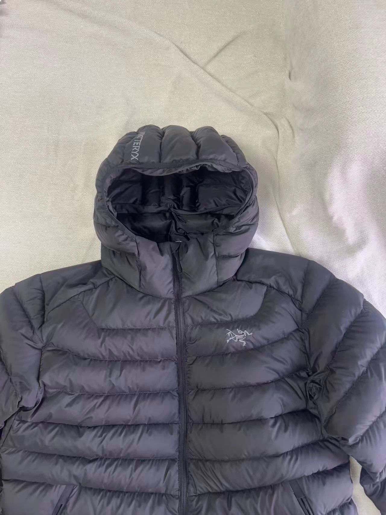 Arc'teryx Arc'teryx 850 Lightweight Down Jacket NWOT Size L Size L / US 10 / IT 46 - 2 Thumbnail
