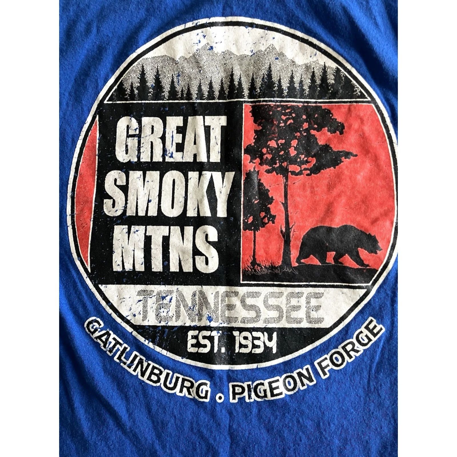 Vintage Vintage 90s Pigeon Forge Tennessee Shirt L Blue Bear Graphic Print Size US L / EU 52-54 / 3 - 5 Thumbnail
