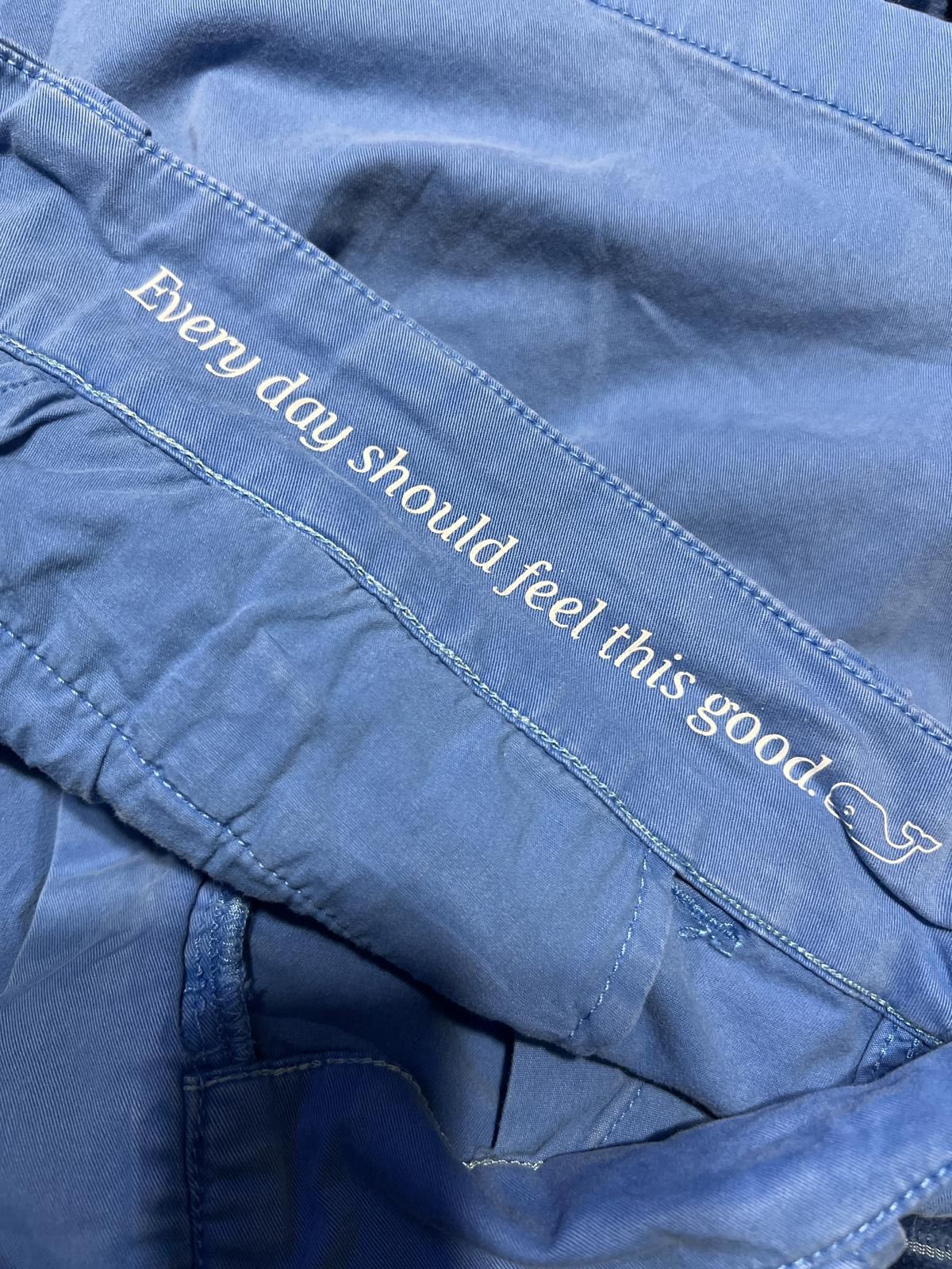 Vineyard Vines Vineyard Vines Ocean Blue Cotton Shorts 0 modern minimalist Size 25" / US 0 / IT 36 - 4 Thumbnail