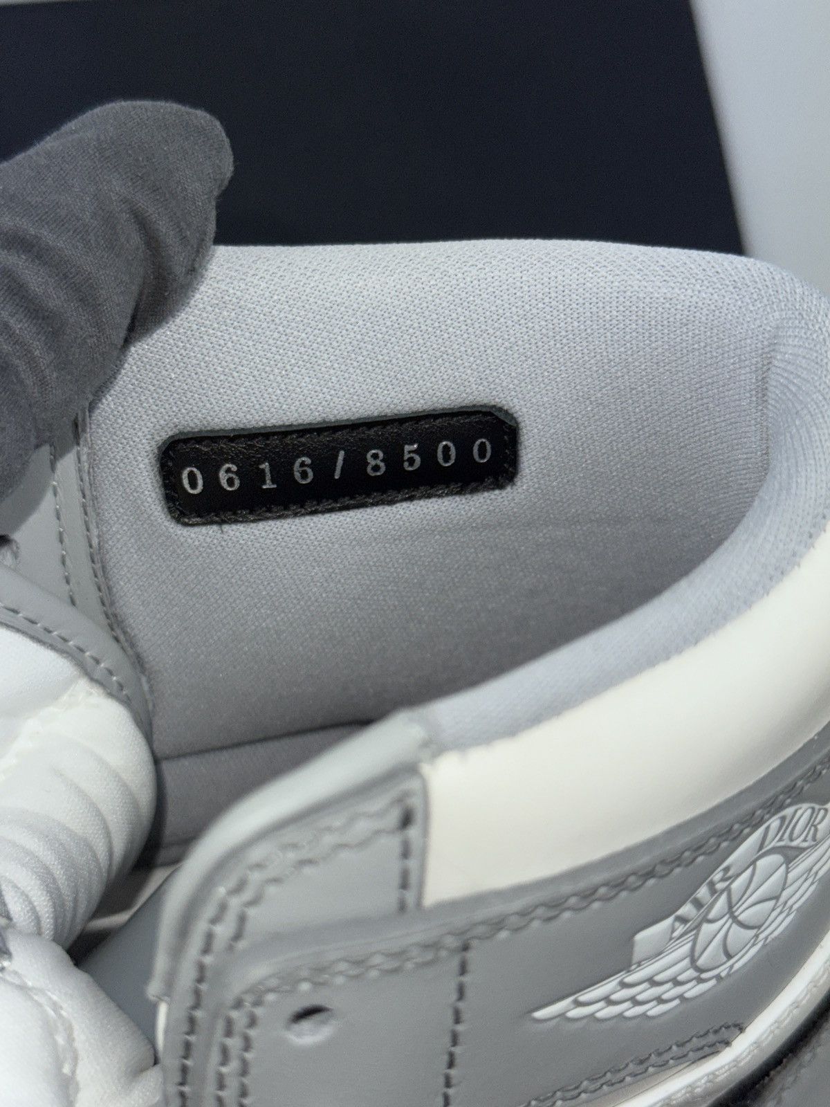 AIR DIOR JORDAN SNEAKERS