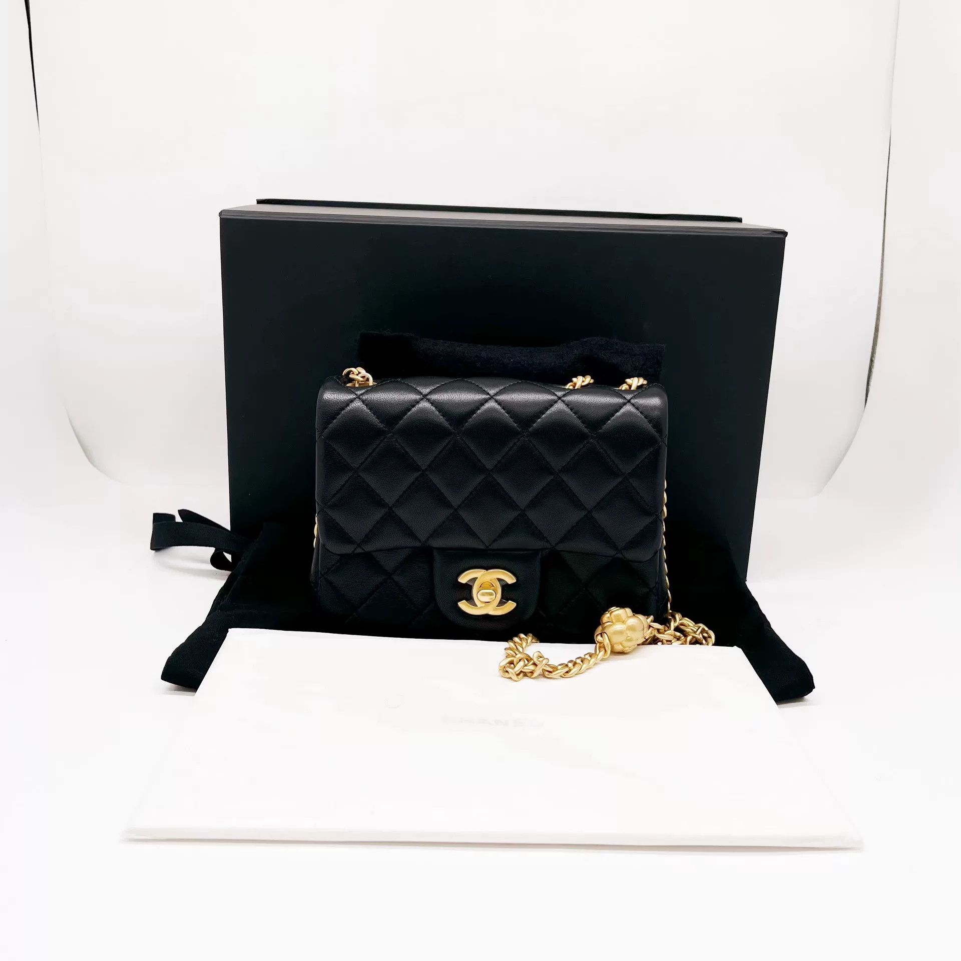 Chanel Pre-loved Bag Brand new condition Size ONE SIZE - 1 Thumbnail