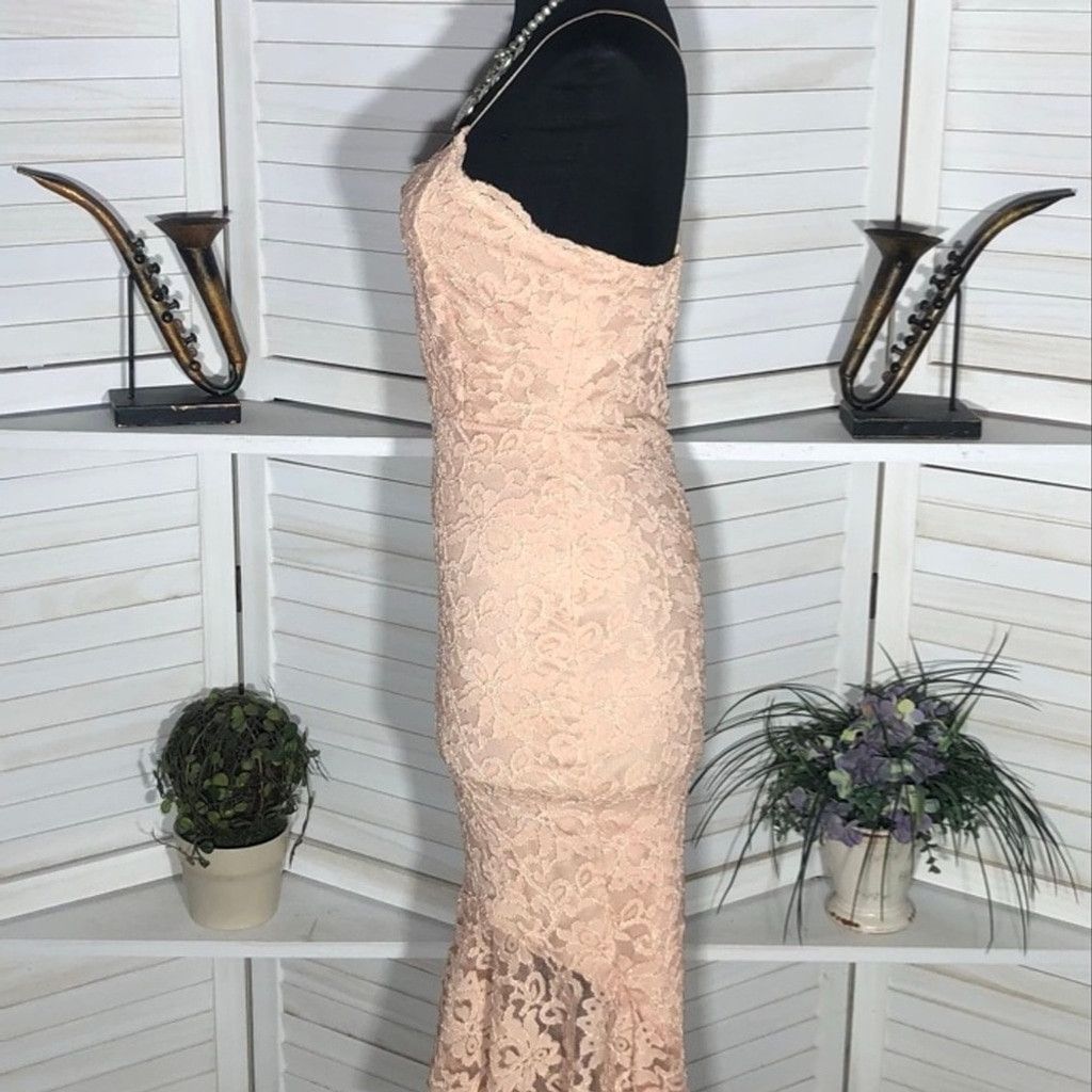 Windsor Smith NWOT Windsor Chantilly Bodycon Dress Lace Mermaid Hem Pink L Size L / US 10 / IT 46 - 4 Thumbnail