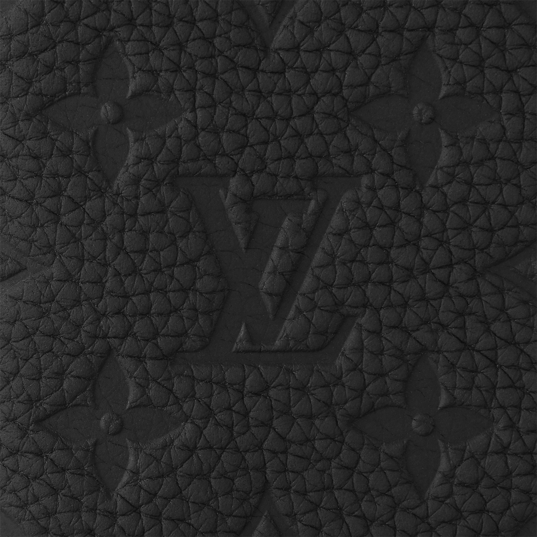 Louis Vuitton Brazza Wallet Size ONE SIZE - 3 Thumbnail