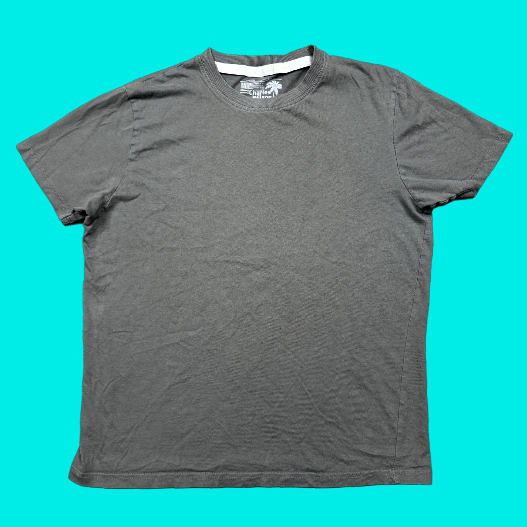 Wilson Charles Wilson USA Men’s Shirt M Gray Short Sleeve Crew Neck T-Shirt Regular Knit Cotton Logo Vintage No Size US M / EU 48-50 / 2 - 1 Thumbnail