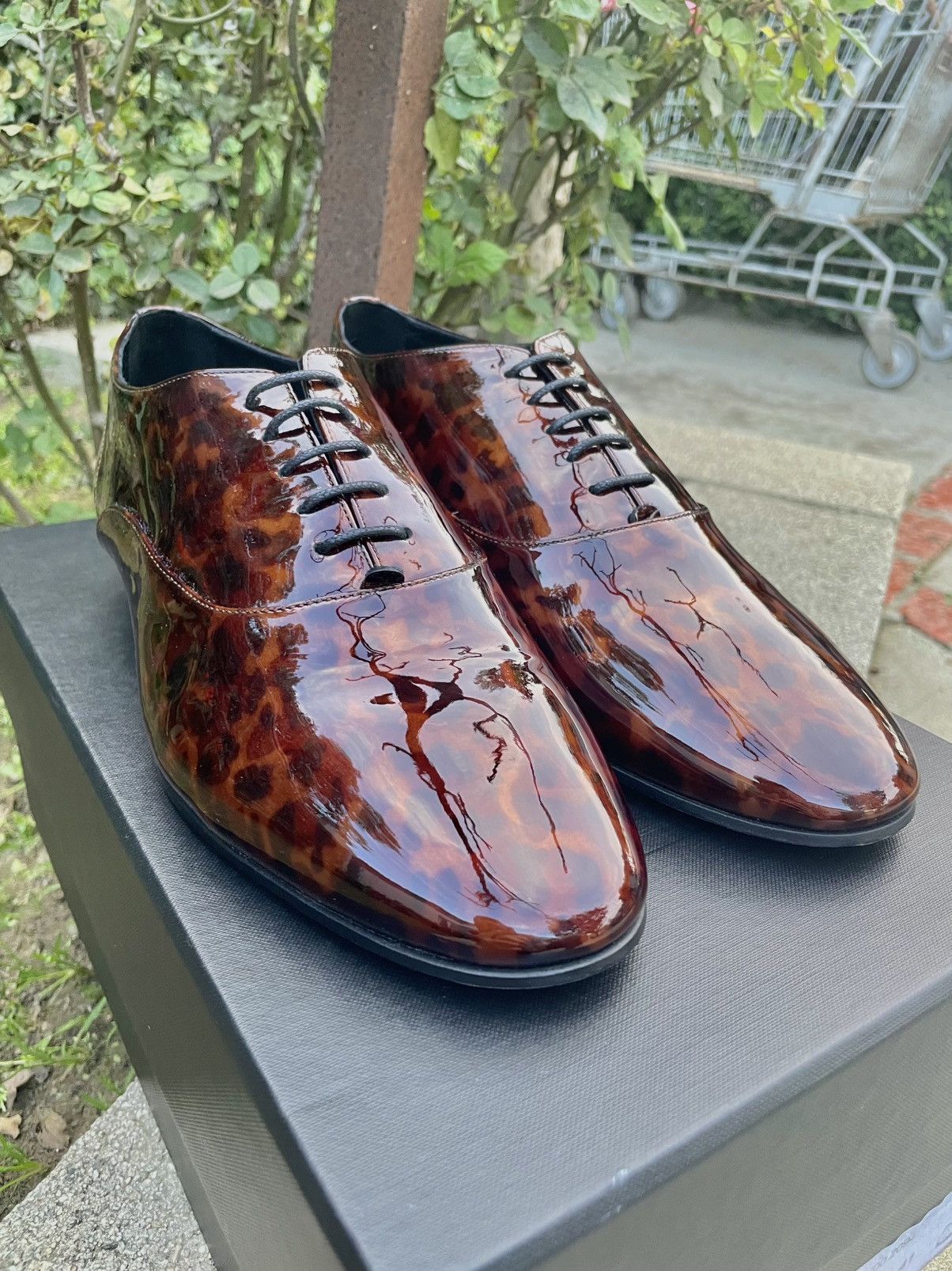 Saint Laurent Paris SLP Runway Patent Leather Lace Up Oxford Shoes Tortoise Size US 8 / EU 41 - 7 Thumbnail