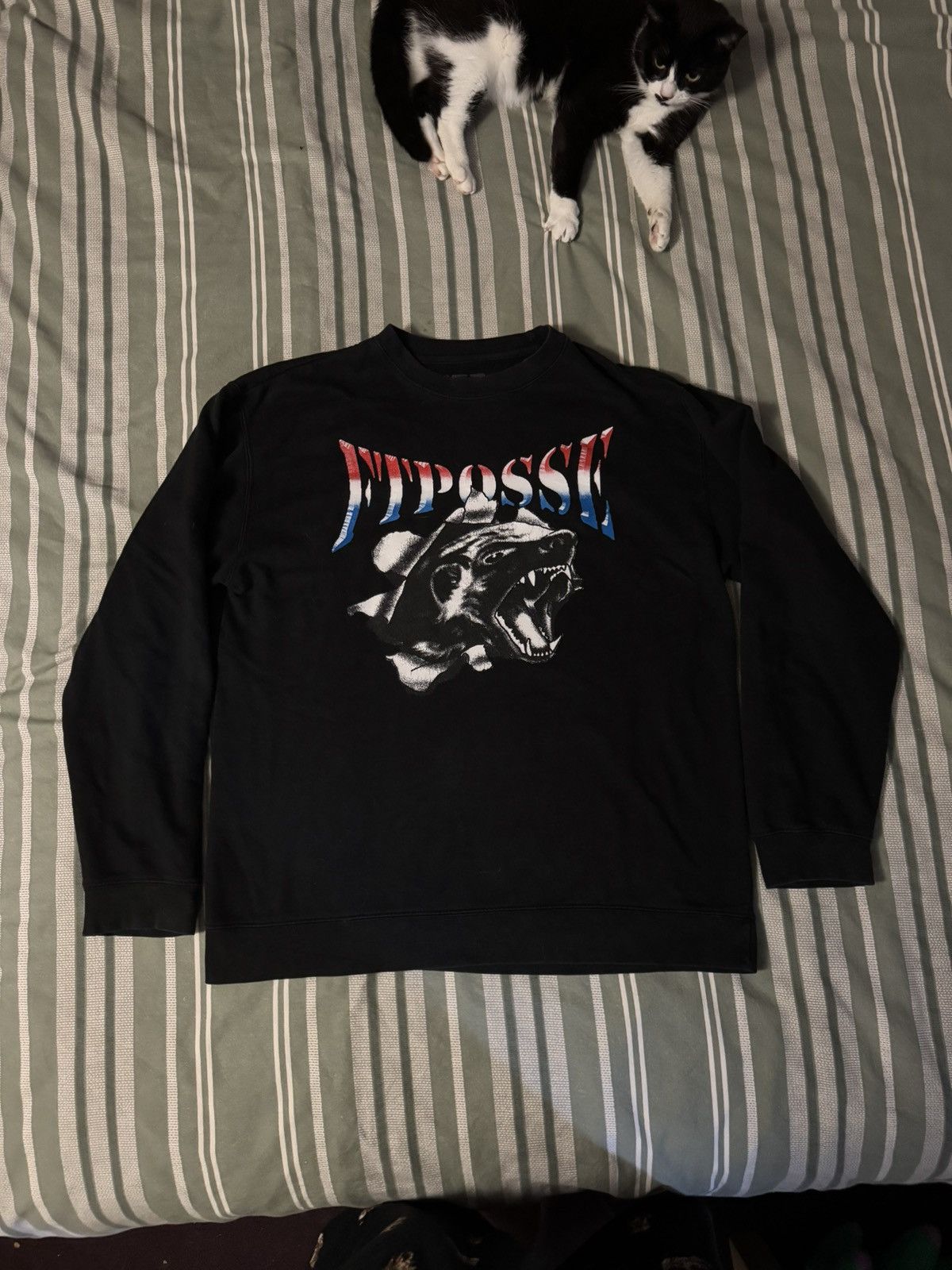 Other FTP Posse crewneck Size US XL / EU 56 / 4 - 1 Thumbnail