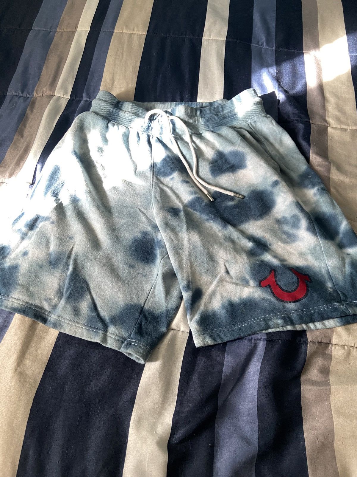 True Religion True Religion Cloud Shorts Size US 27 - 1 Thumbnail