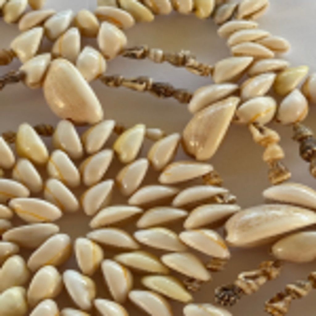 Other Late 20th Century Natural Cowrie Shell Wall Decor Size ONE SIZE - 4 Thumbnail