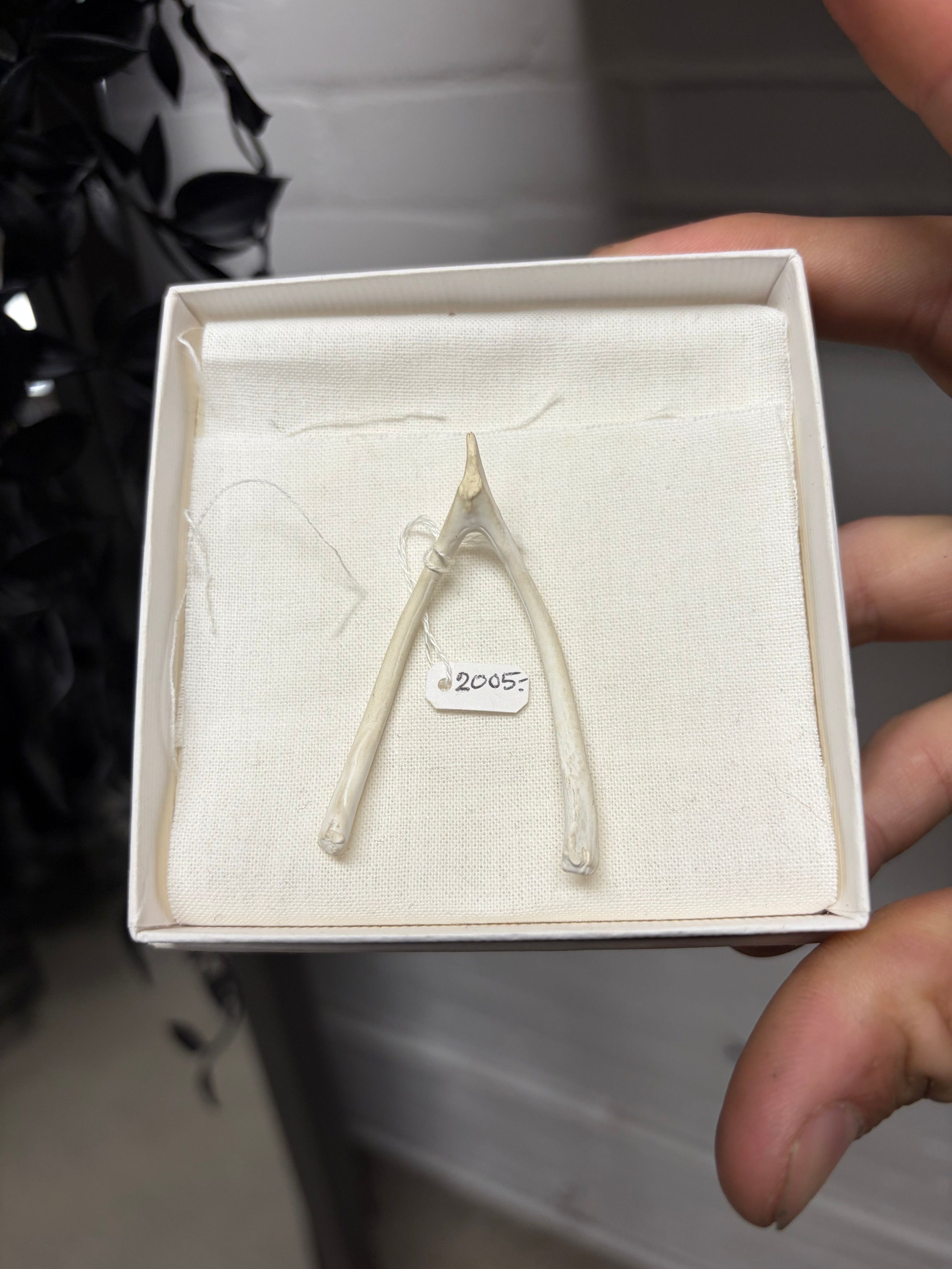 Maison Margiela 2005 Maison Martin Margiela Painted White ‘Wishbone’ Friends and Family Gift Size ONE SIZE - 3 Thumbnail