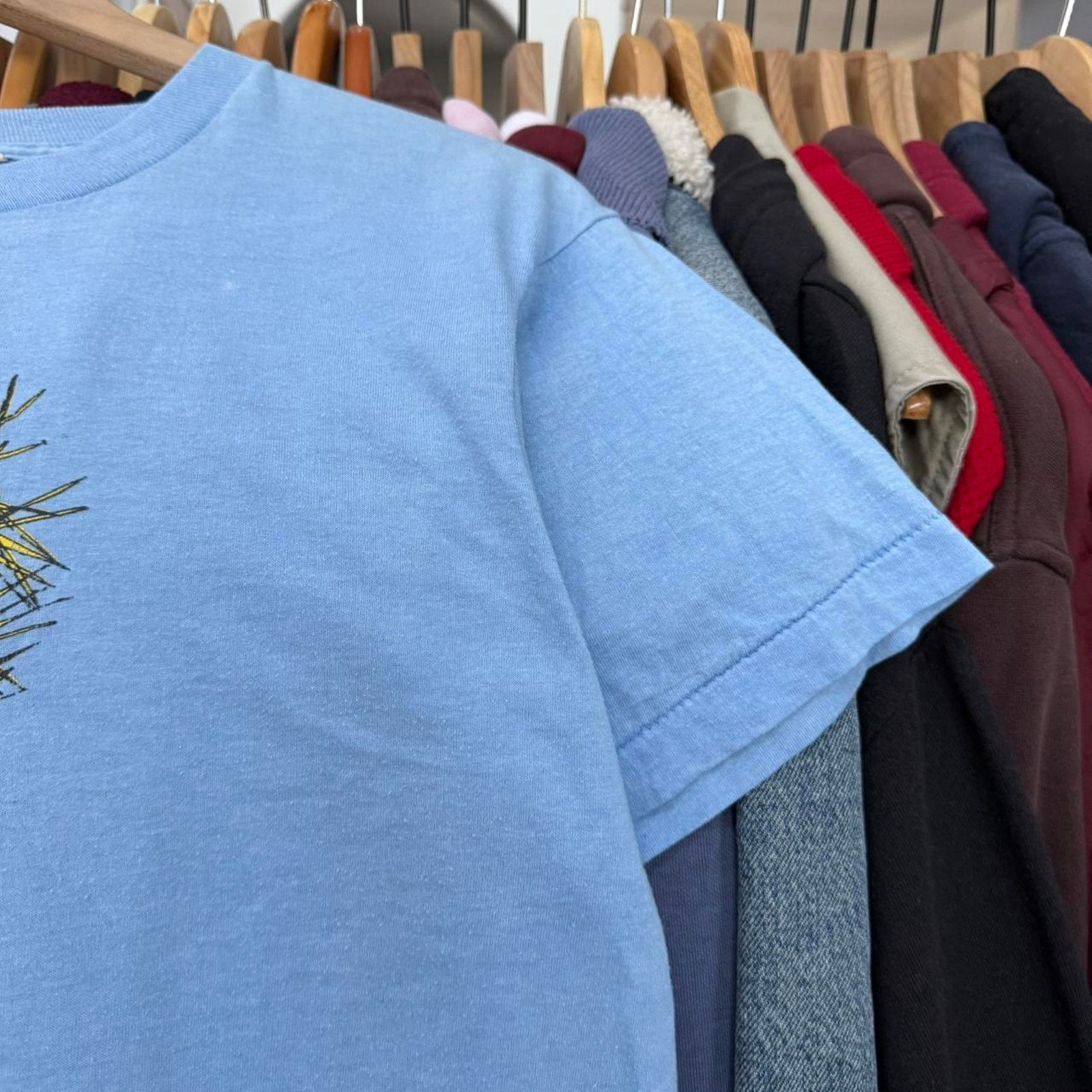 Other Vintage 80s or 90s Cactus Prickly Pear T-Shirt Blue Size US L / EU 52-54 / 3 - 3 Thumbnail