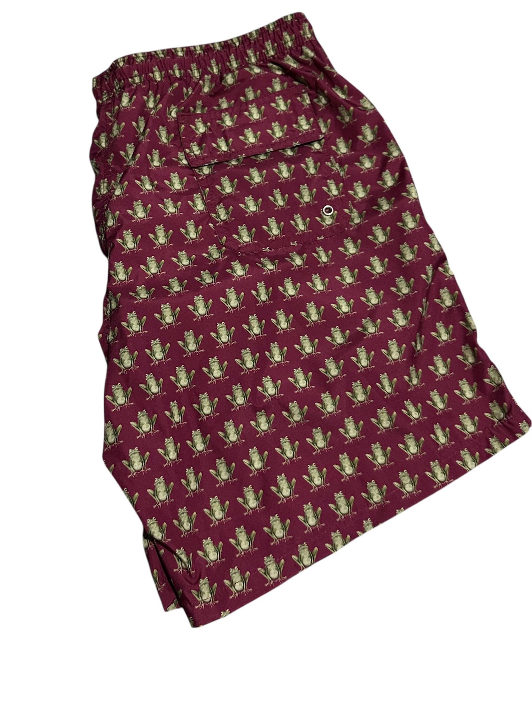 Other Dalwin Frog Swim Shorts Size US 32 / EU 48 - 2 Thumbnail