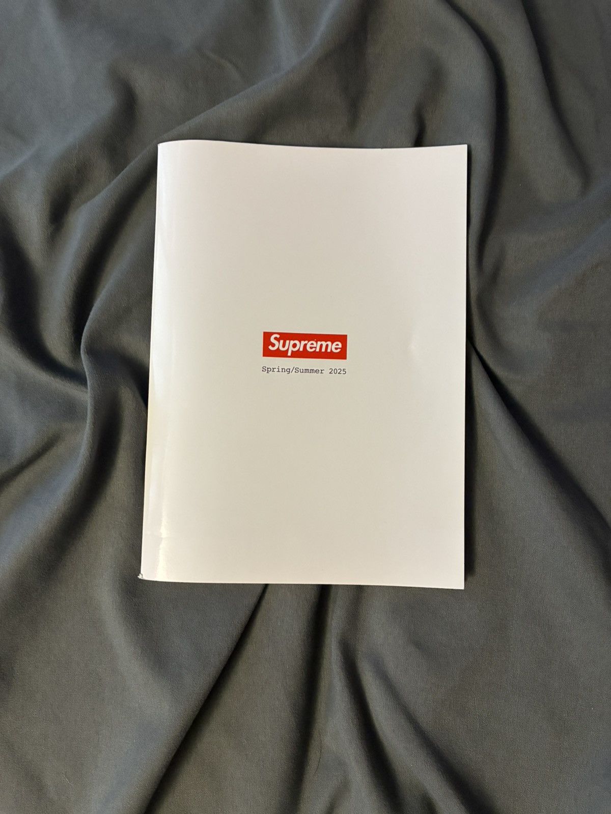 Supreme Supreme Stickers & Lookbook SS25 Size ONE SIZE - 3 Thumbnail