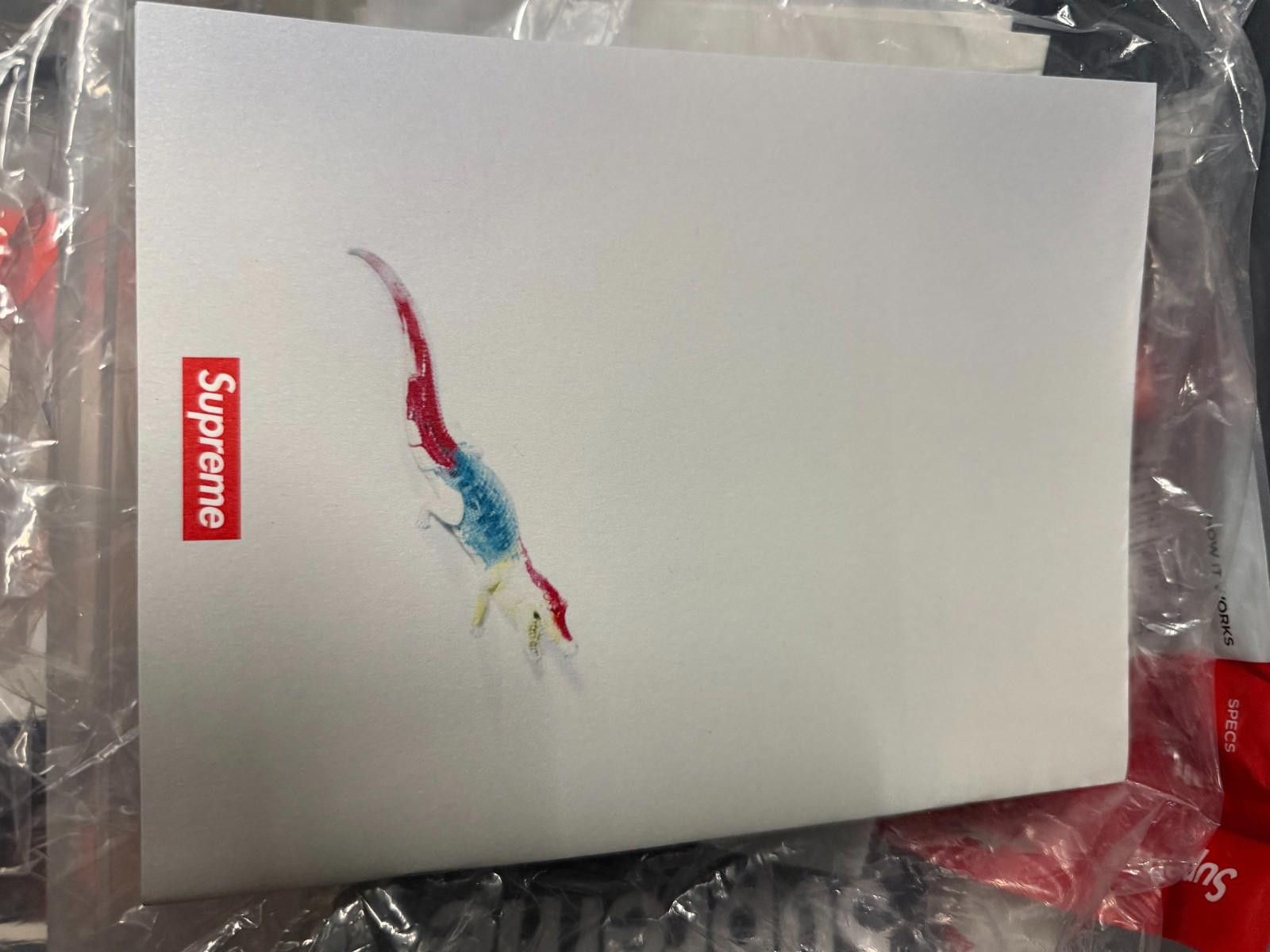 Other Supreme Araki Zine Magazine FW17 Nobuyoshi Nozomi Size ONE SIZE - 2 Thumbnail