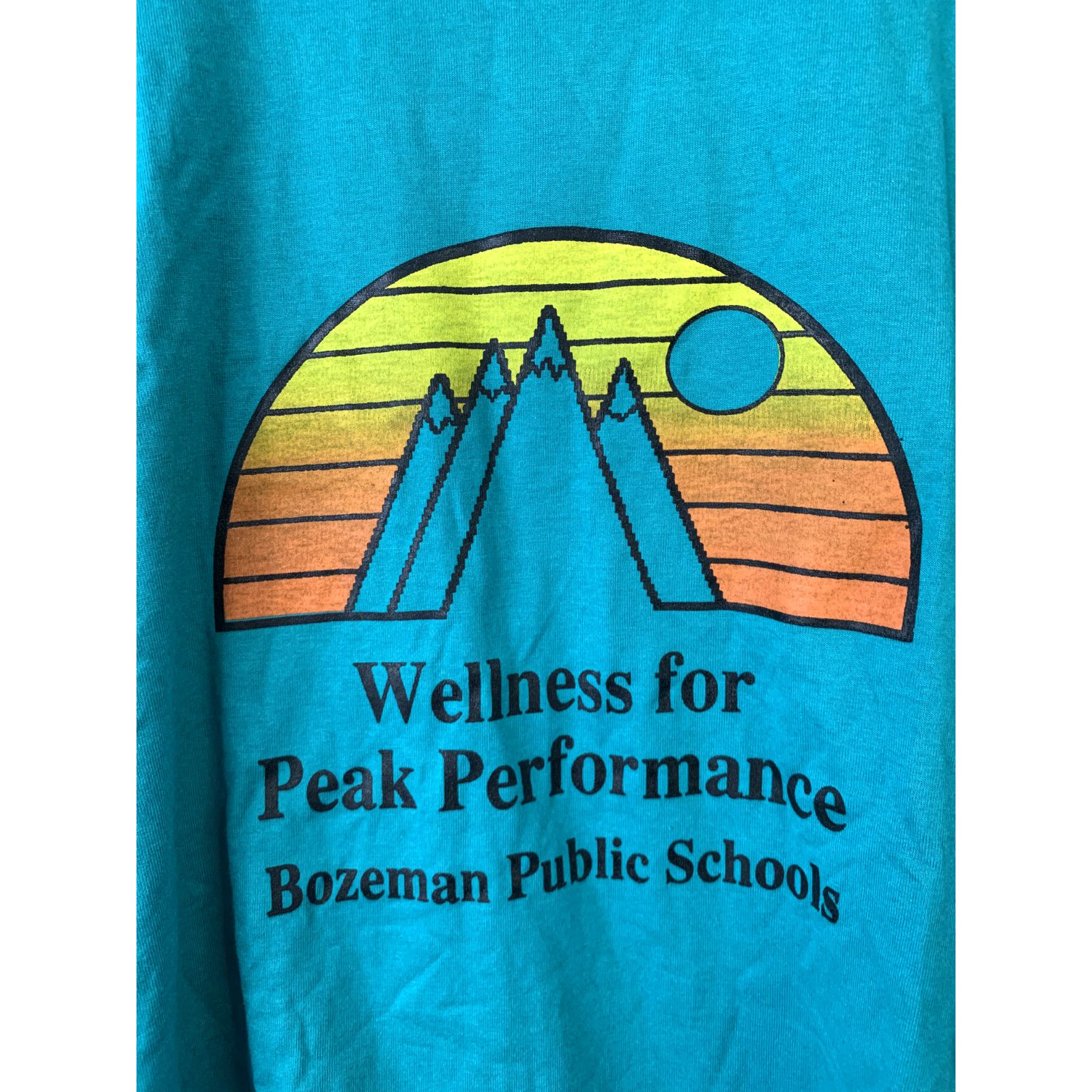 Jerzees Vintage Public School Shirt Bozeman T-Shirt Tee VTG 90s L Size US L / EU 52-54 / 3 - 2 Thumbnail