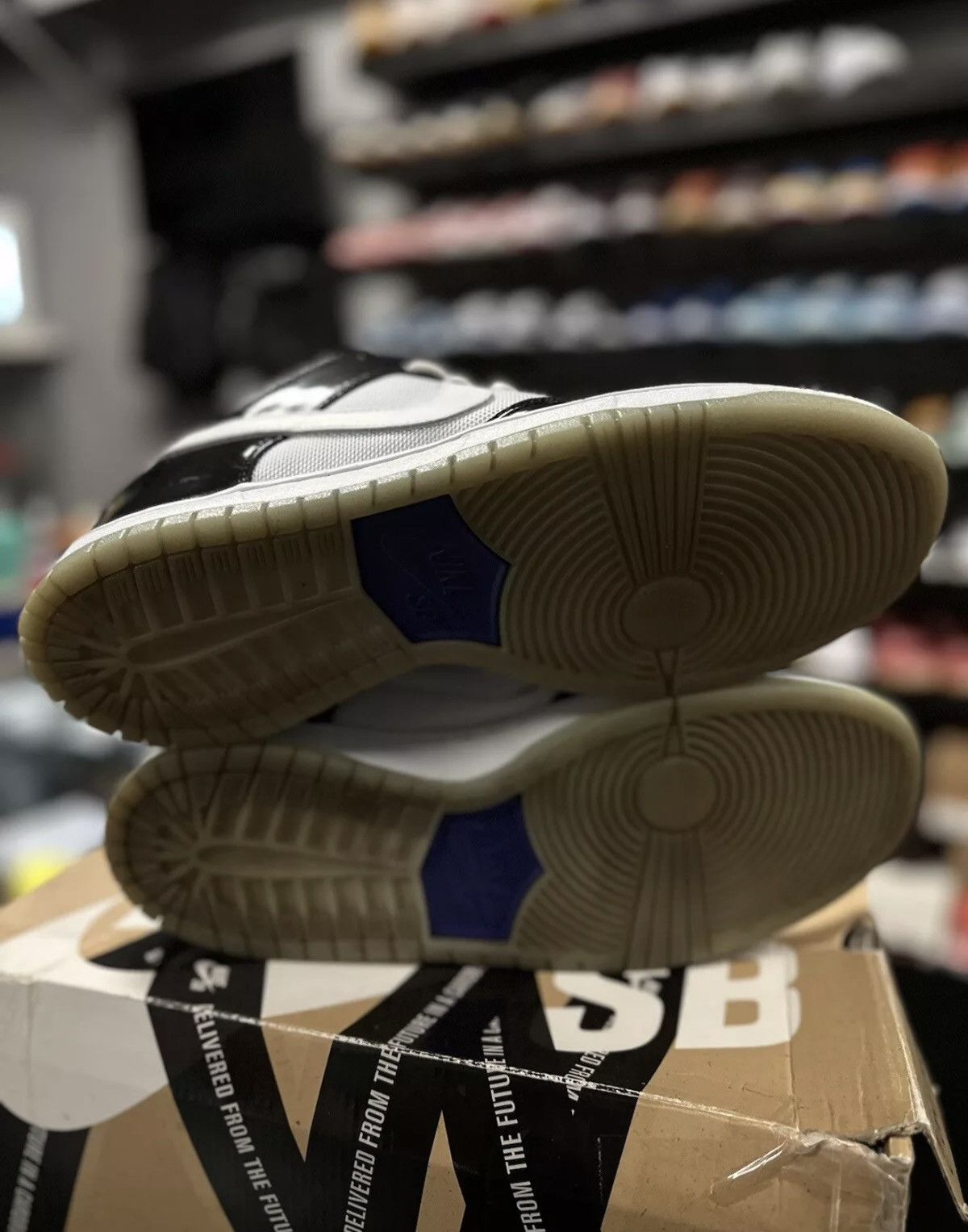 Nike Size 11 - Nike Dunk Pro SB Low Concord 2013 304292-043 Size US 11 / EU 44 - 16 Thumbnail