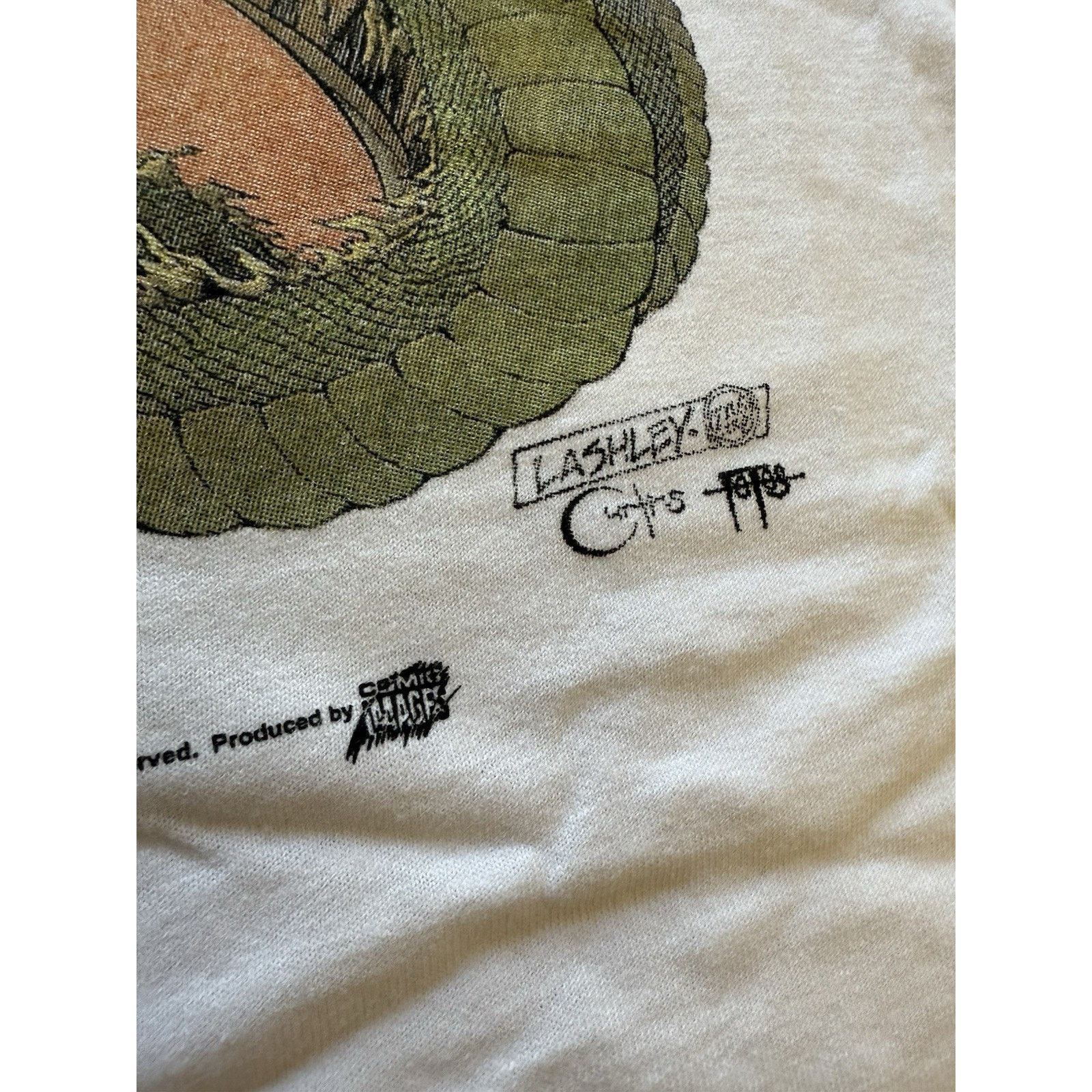 Anvil 2001 Chaos Comics Jade XL Shirt Dragon Lashley Art RARE Topp Size US XL / EU 56 / 4 - 6 Thumbnail