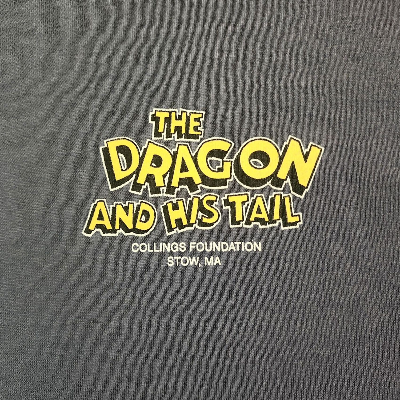 Fruit Of The Loom Fruit of the Loom B24 Dragon T Shirt Mens 2XL Gray Graphic Print USA Military Pilot 90s Tee Size US XXL / EU 58 / 5 - 6 Thumbnail