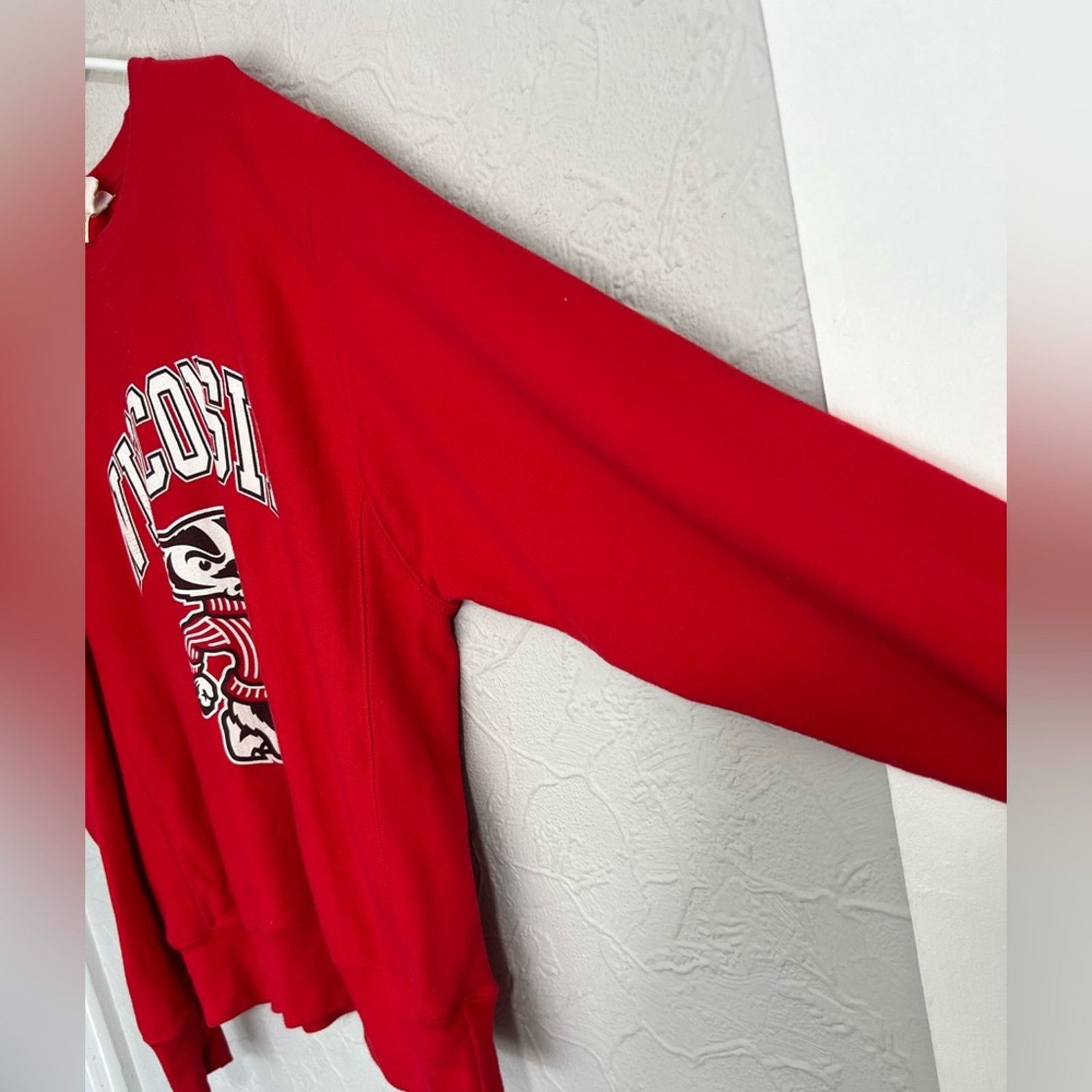 Champion VINTAGE Champion Reverse Weave Wisconsin Badgers Red Bucky Size US L / EU 52-54 / 3 - 6 Thumbnail
