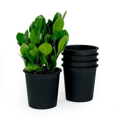 Designer × Homemade 6.3" Round Nursery Plant Pot - Garden Plastic Pots with Drai Size US L / EU 52-54 / 3 - 4 Thumbnail