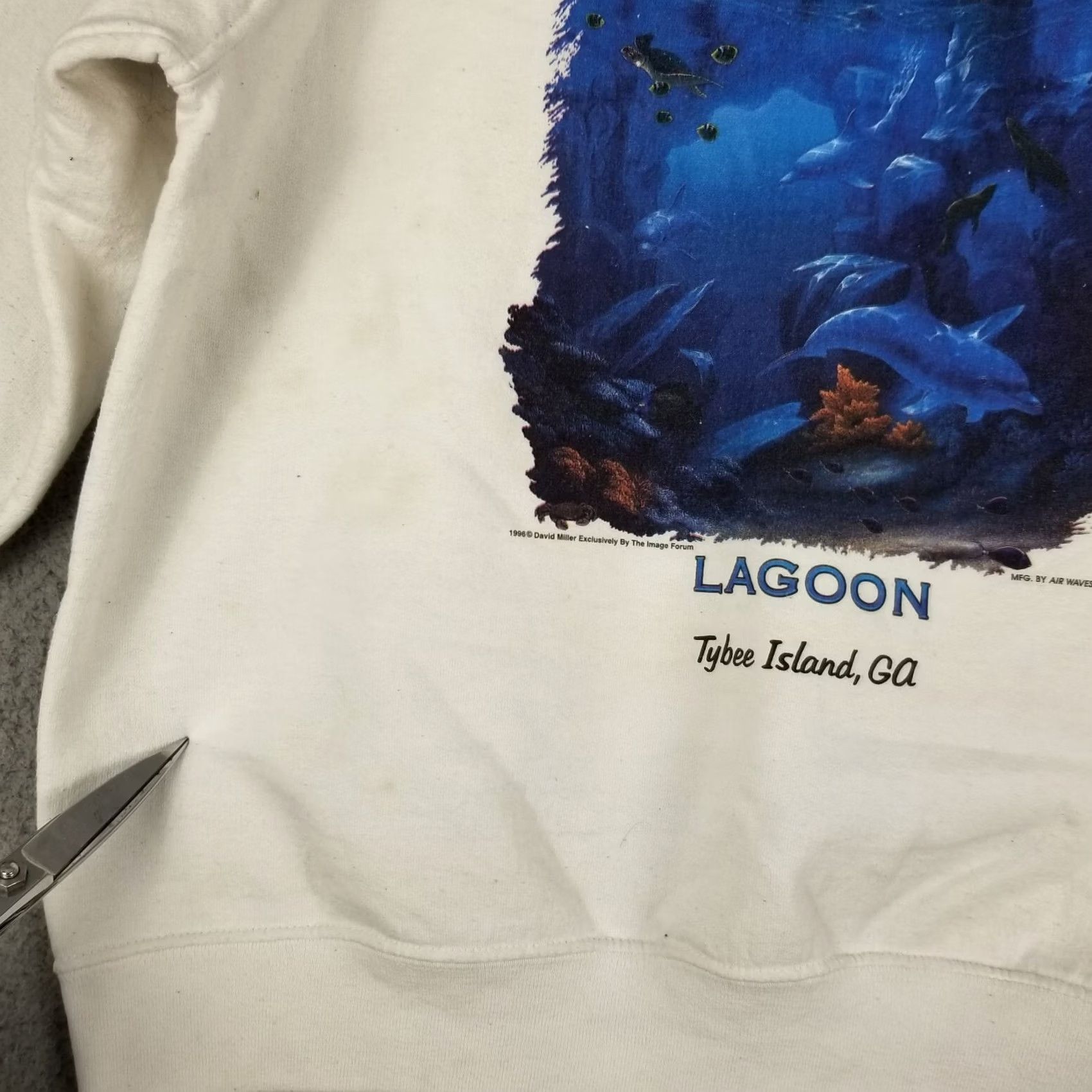 Fruit Of The Loom Vintage Fruit of the Loom Sweatshirt Crewneck M White Dolphin Tybee Island Lagoon Georgia 90s Beach Marine Nautical University Mens Size US M / EU 48-50 / 2 - 2 Thumbnail
