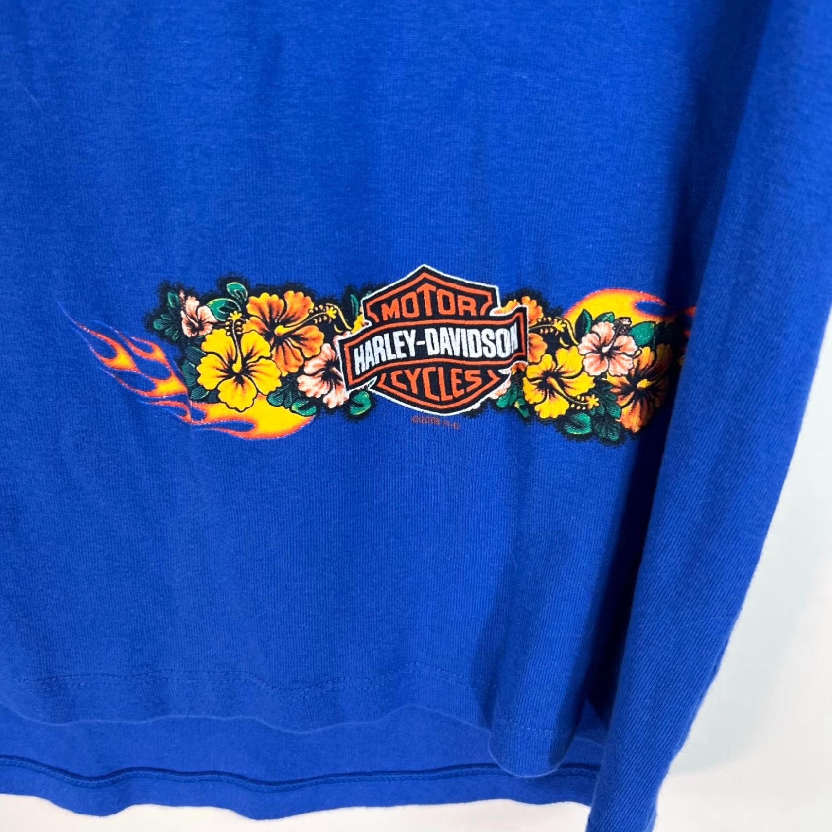 Harley Davidson Harley-Davidson Daytona FL Shirt Adult L Blue 2 Sided Graphic Tee 2008 Mens T-Shirt Size US L / EU 52-54 / 3 - 6 Thumbnail