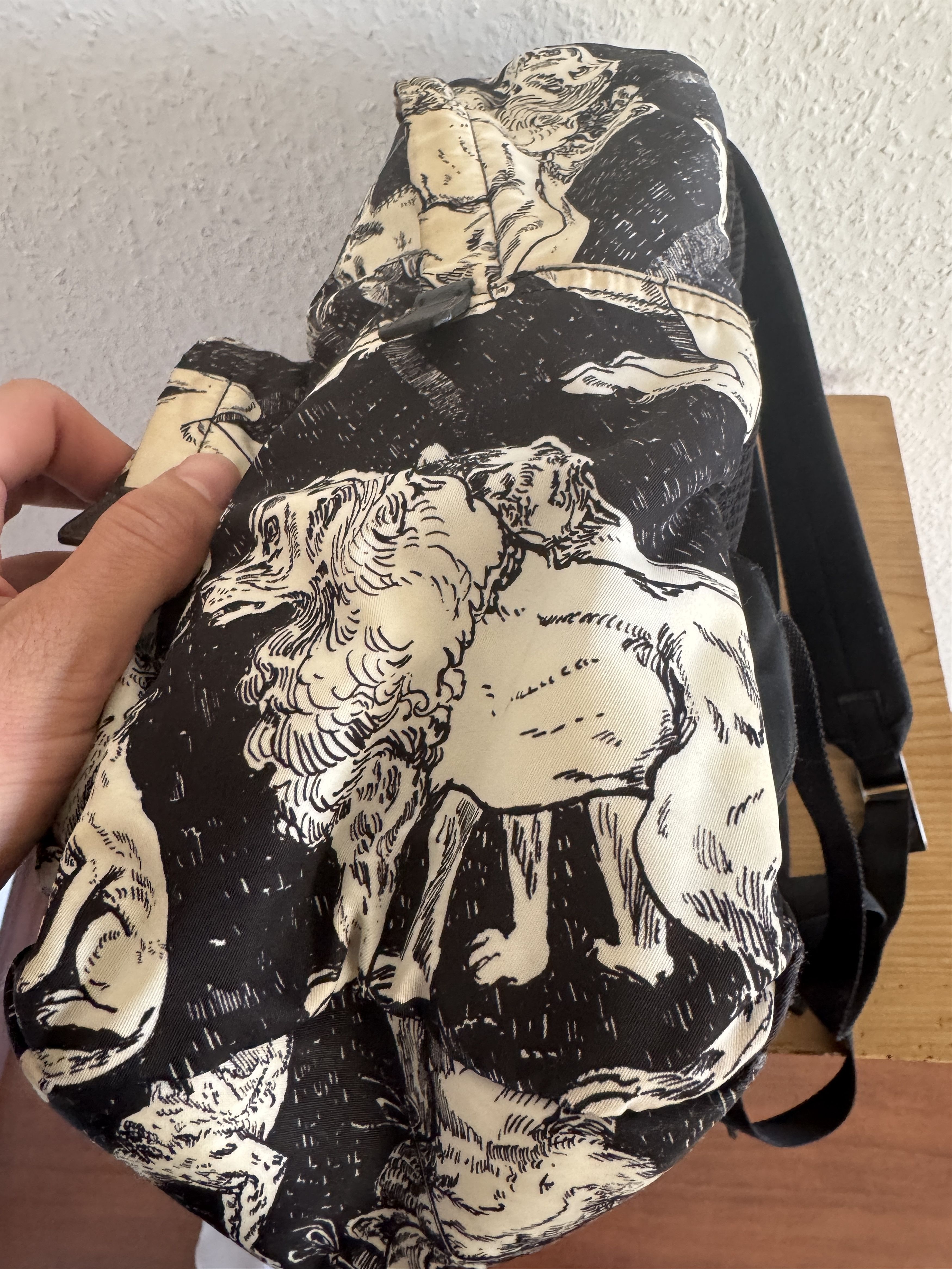 Prada Christophe Chemin Survival Utopia Print Backpack Size ONE SIZE - 12 Thumbnail