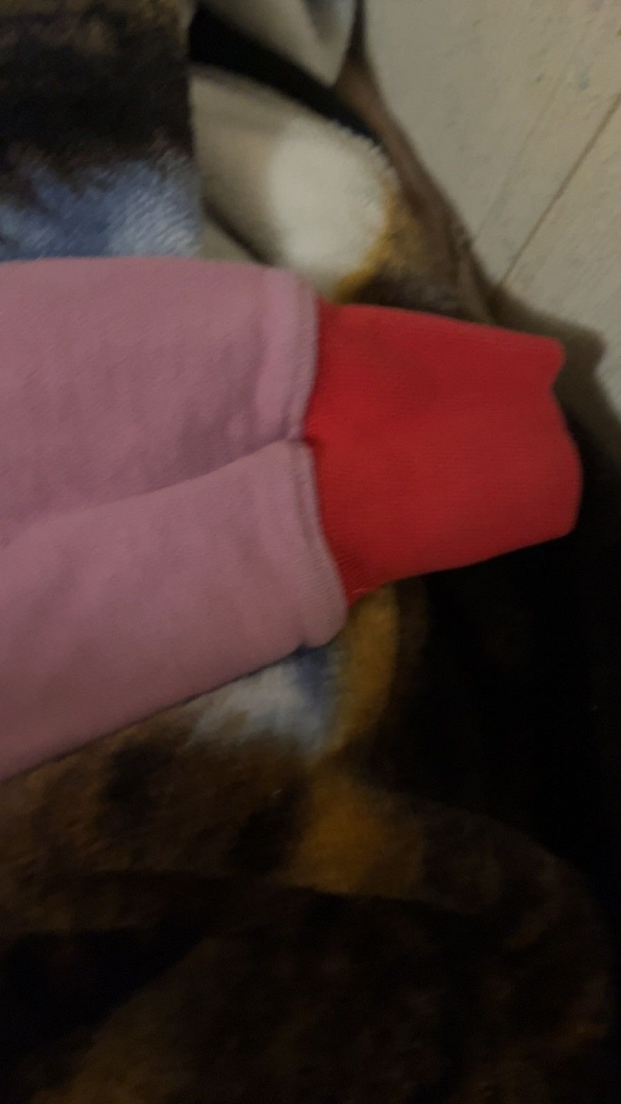 RIPNDIP Teddy Fresh Sweatshirt Hoodie Pullover Size US M / EU 48-50 / 2 - 7 Thumbnail
