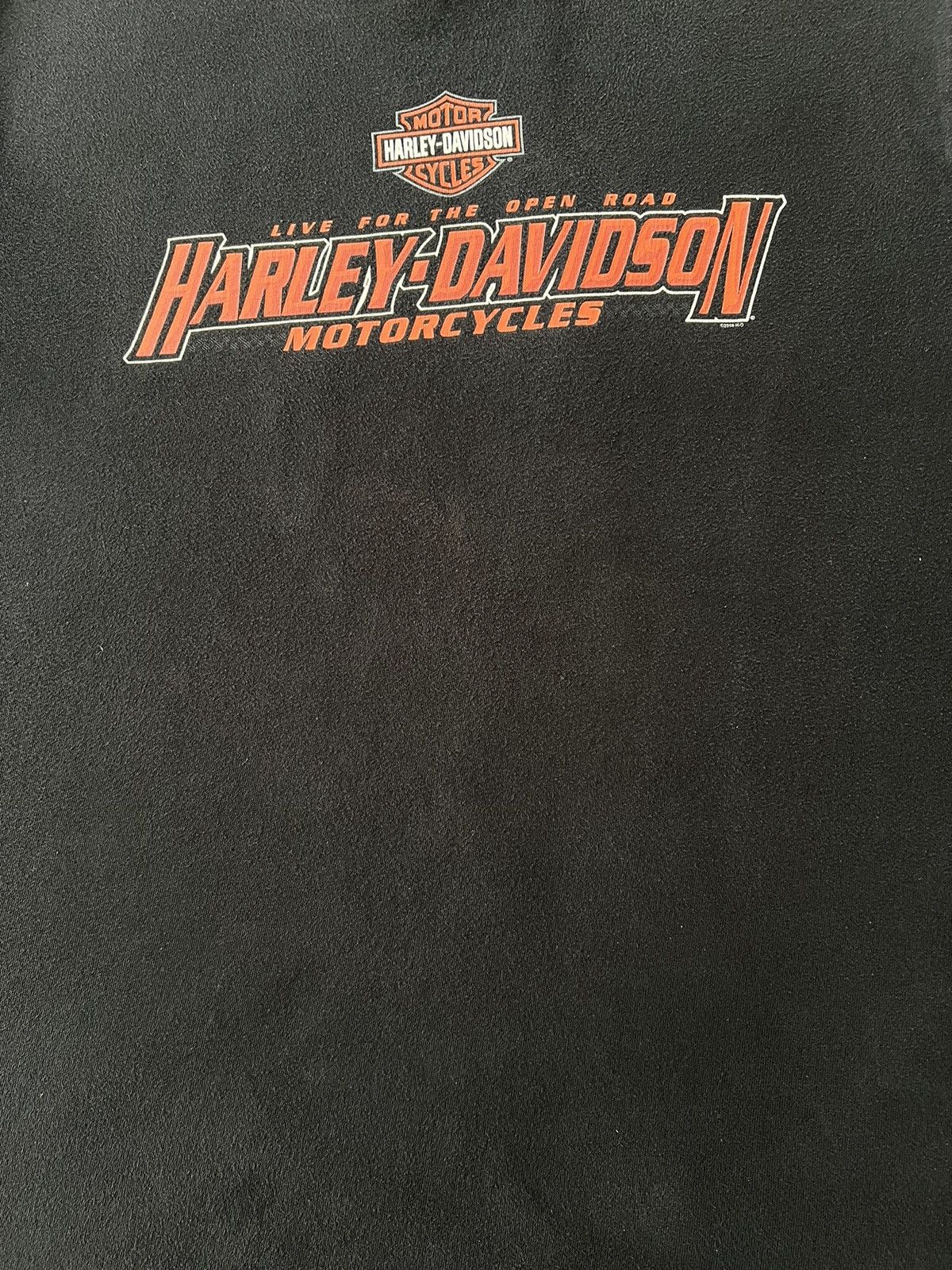 Harley Davidson Vintage 2010 Harley Davidson Motorcycles Eagle Flame T-shirt Size US L / EU 52-54 / 3 - 9 Thumbnail