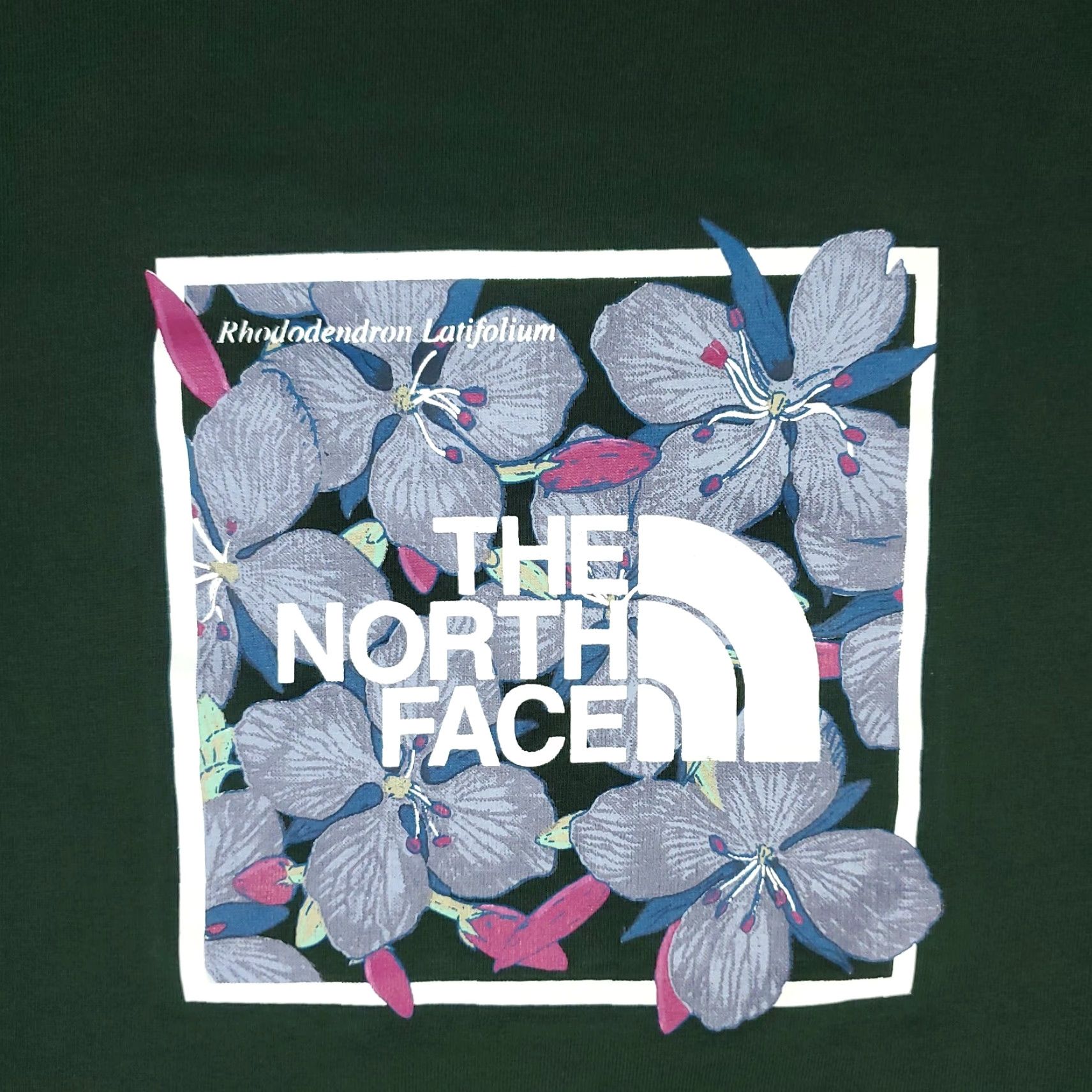 The North Face The North Face T-Shirt Men Size Large Green Logo Crew Neck Long Sleeve Shirt Size US L / EU 52-54 / 3 - 2 Thumbnail