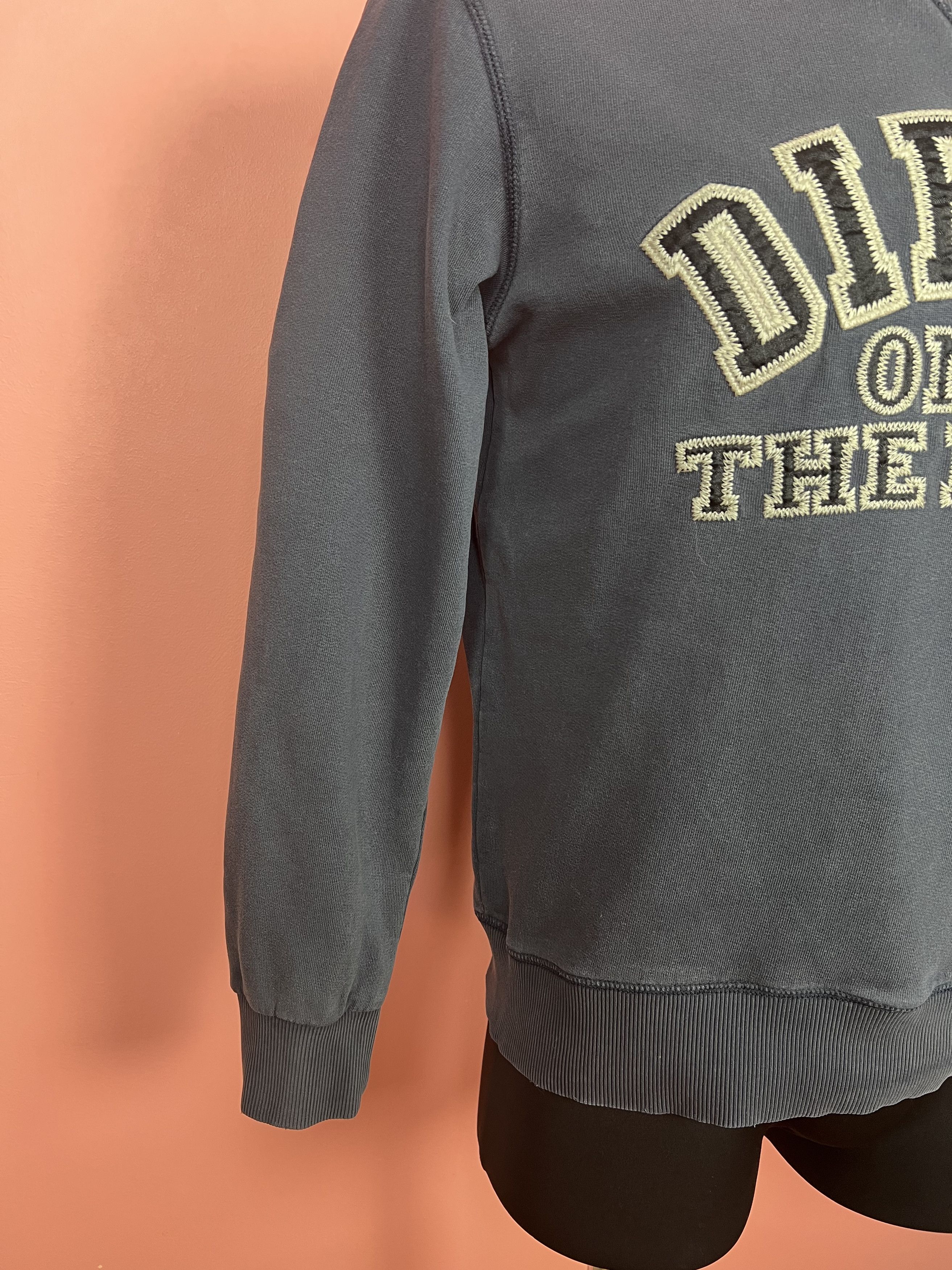 Diesel diesel logo sweatshirt streetwear blue Size US S / EU 44-46 / 1 - 3 Thumbnail