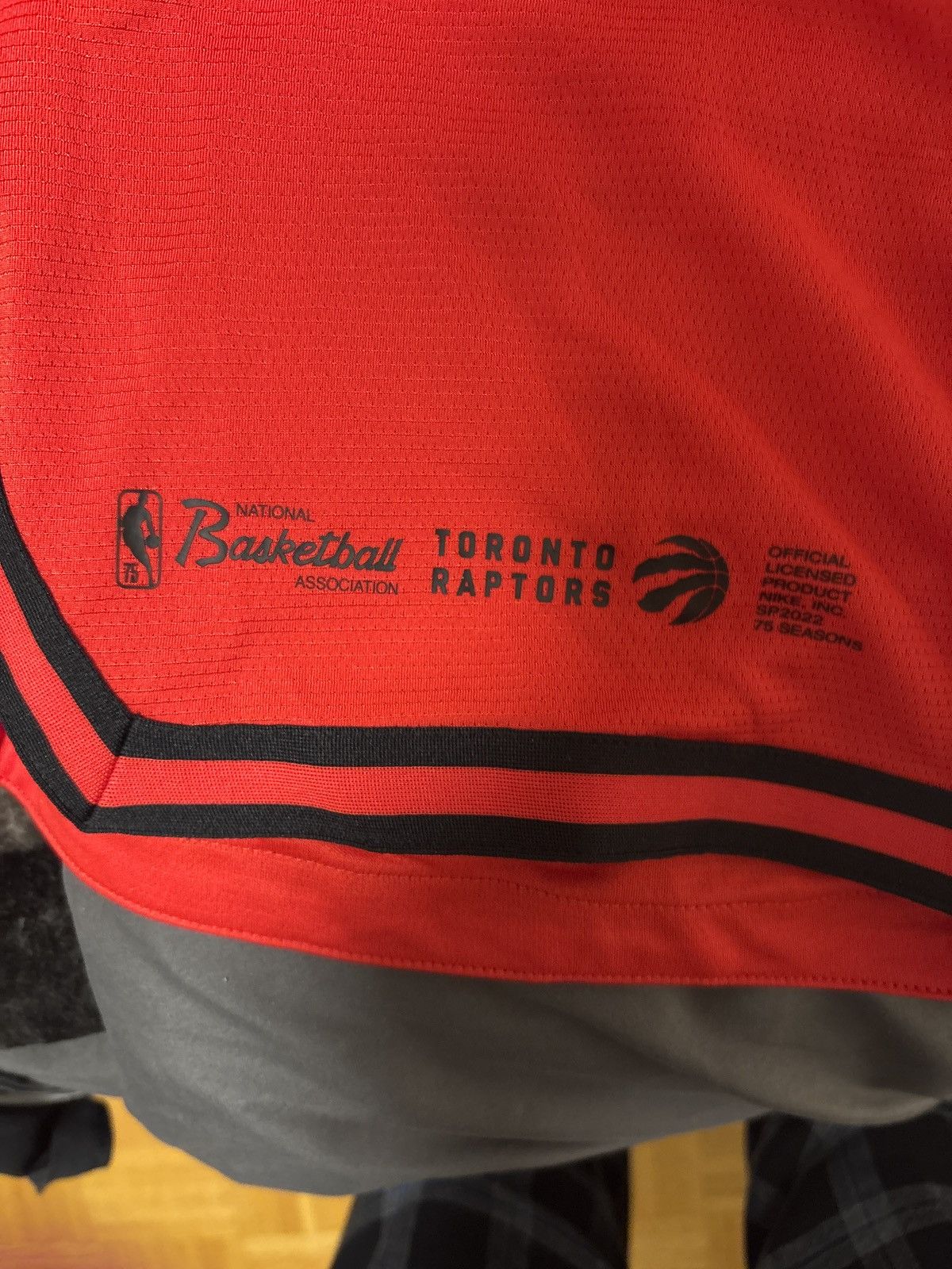 Nike Nike Toronto Raptors NBA shorts Size US 32 / EU 48 - 4 Thumbnail