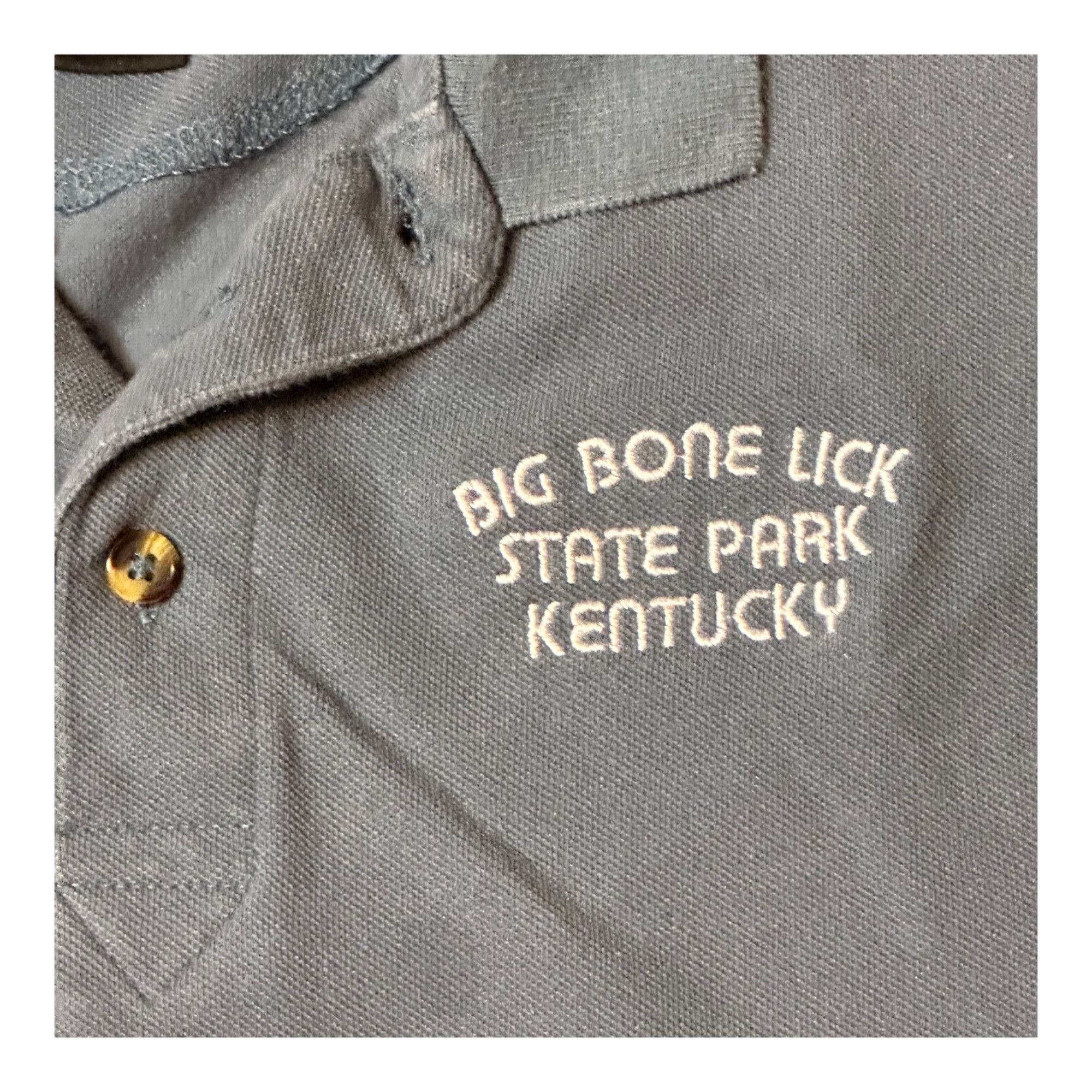 Vintage Kentucky State Parks Big Bone Lick Polo Shirt 2XL VGUC Dusty Size US XXL / EU 58 / 5 - 4 Thumbnail