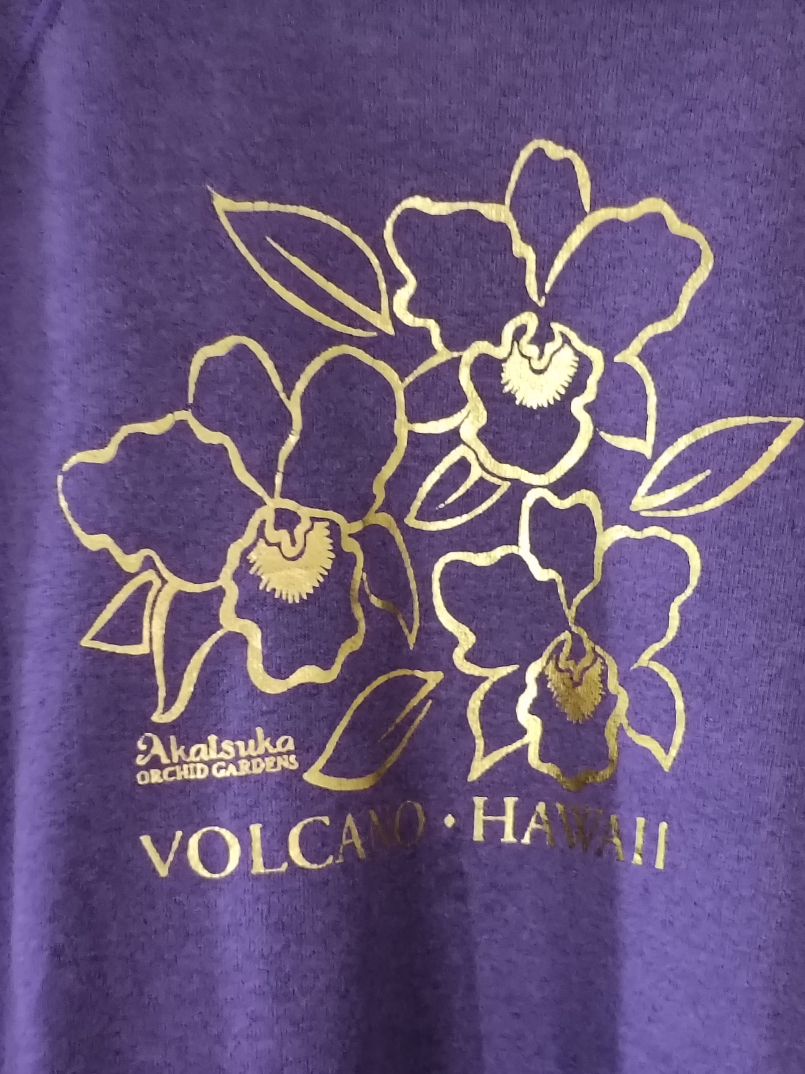 Hanes Vintage Hanes USA 5050 volcano hawaii crewneck Size L / US 10 / IT 46 - 2 Thumbnail