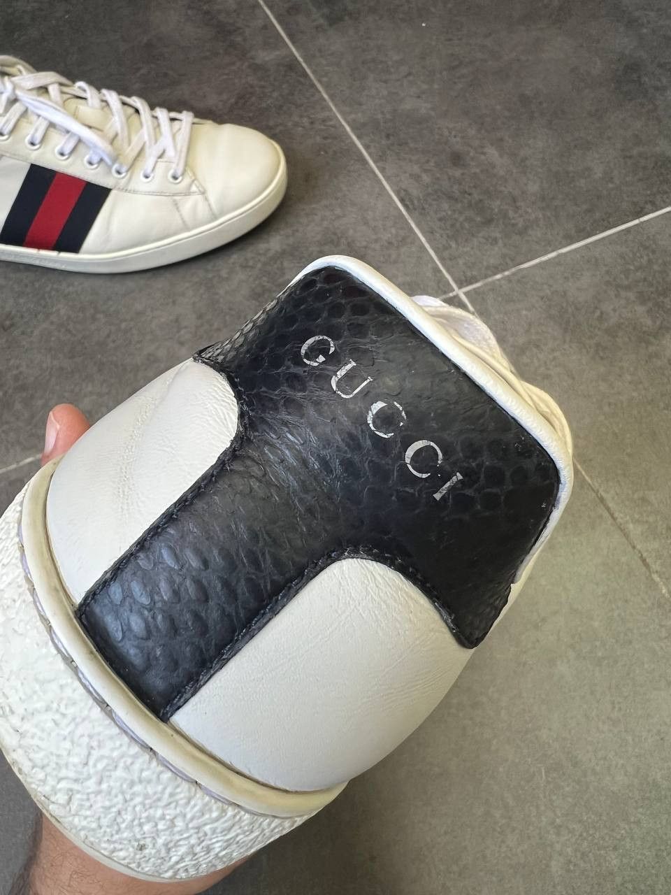 Gucci Gucci Web Ace Sneaker Gucci Size US 13 / EU 46 - 7 Thumbnail
