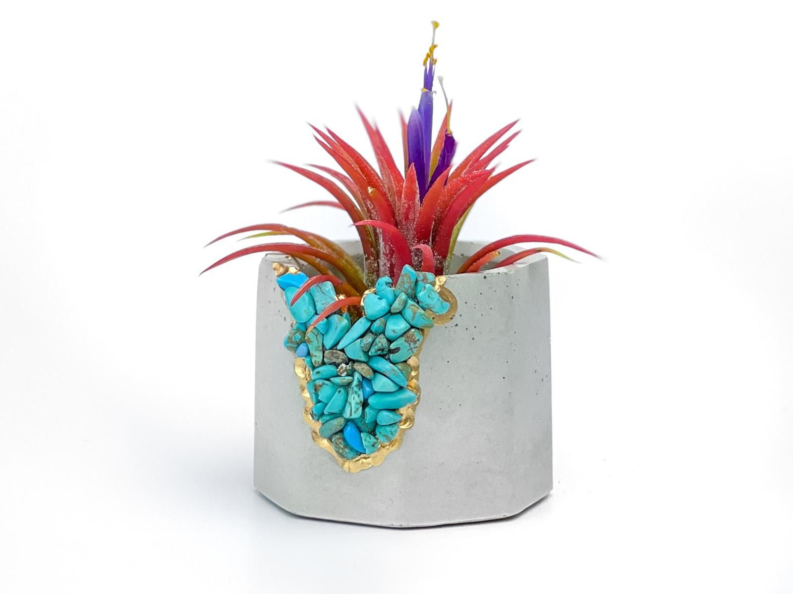 Other Turquoise Crystal Concrete Planter Air Plant Holder Gift Size ONE SIZE - 7 Thumbnail
