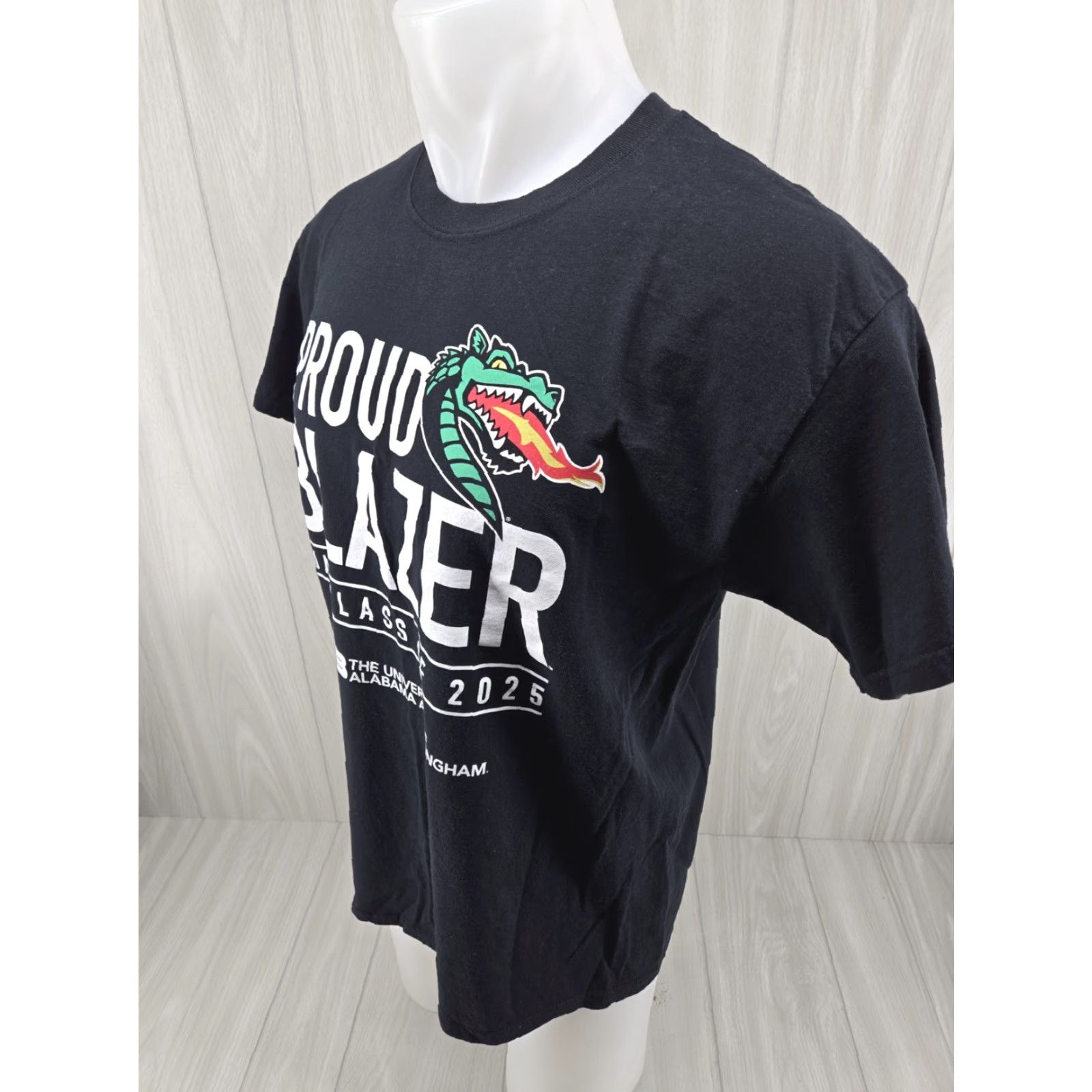 Gildan VINTAGE University of Alabama at Birmingham Blazers Class 2025 Short Sleeve T-Shirt LRG Size US L / EU 52-54 / 3 - 4 Thumbnail