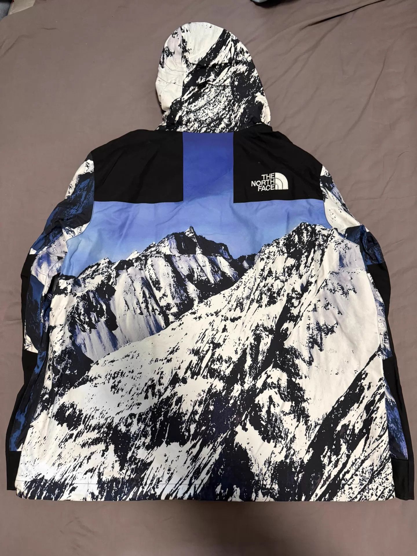 Supreme Supreme x TNF Mountain Parka XL Worn Once Like New Size US XL / EU 56 / 4 - 5 Thumbnail