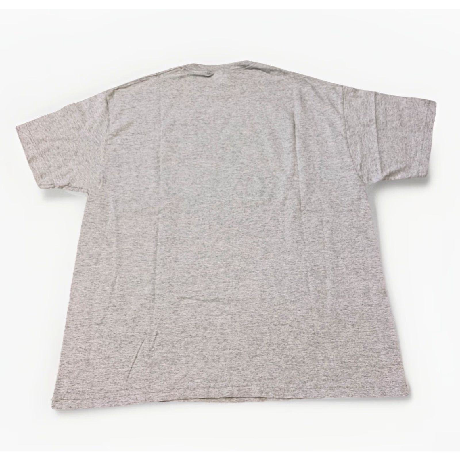 Vintage VINTAGE University Of Florida Gators Champs Sports Grey T-Shirt L Mens 90s Size US L / EU 52-54 / 3 - 3 Thumbnail