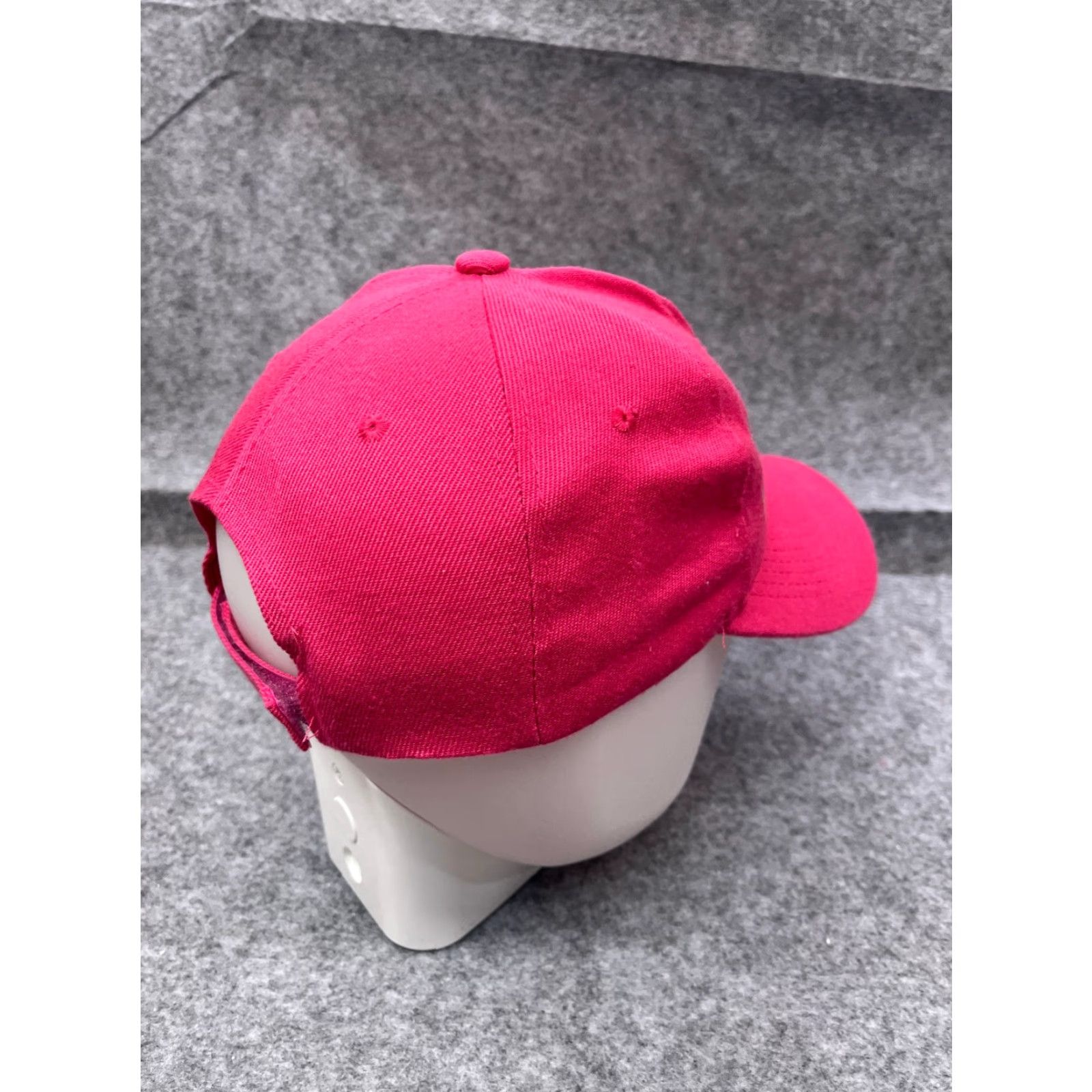 Vintage VINTAGE 2024 Sunlight Buddy Werner States Hat Cap Strap Back Adult OS Pink Acrylic Wool Size ONE SIZE - 7 Thumbnail