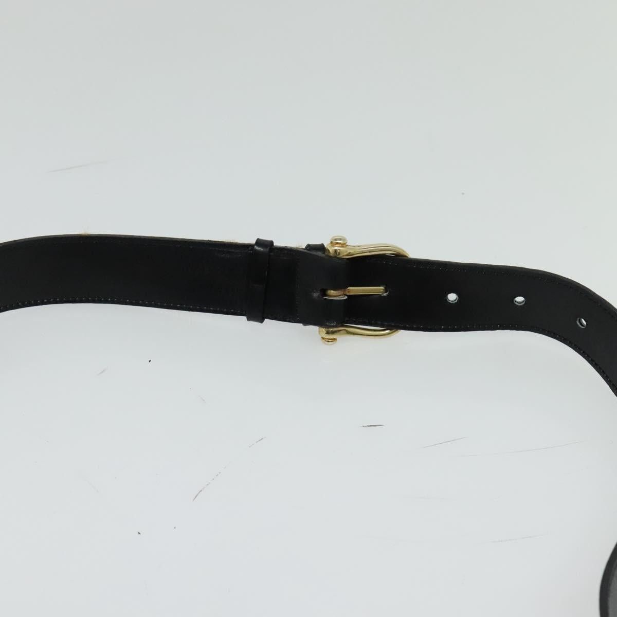 Celine CELINE Sulky Shoulder Bag Leather Black Gold Size ONE SIZE - 8 Thumbnail