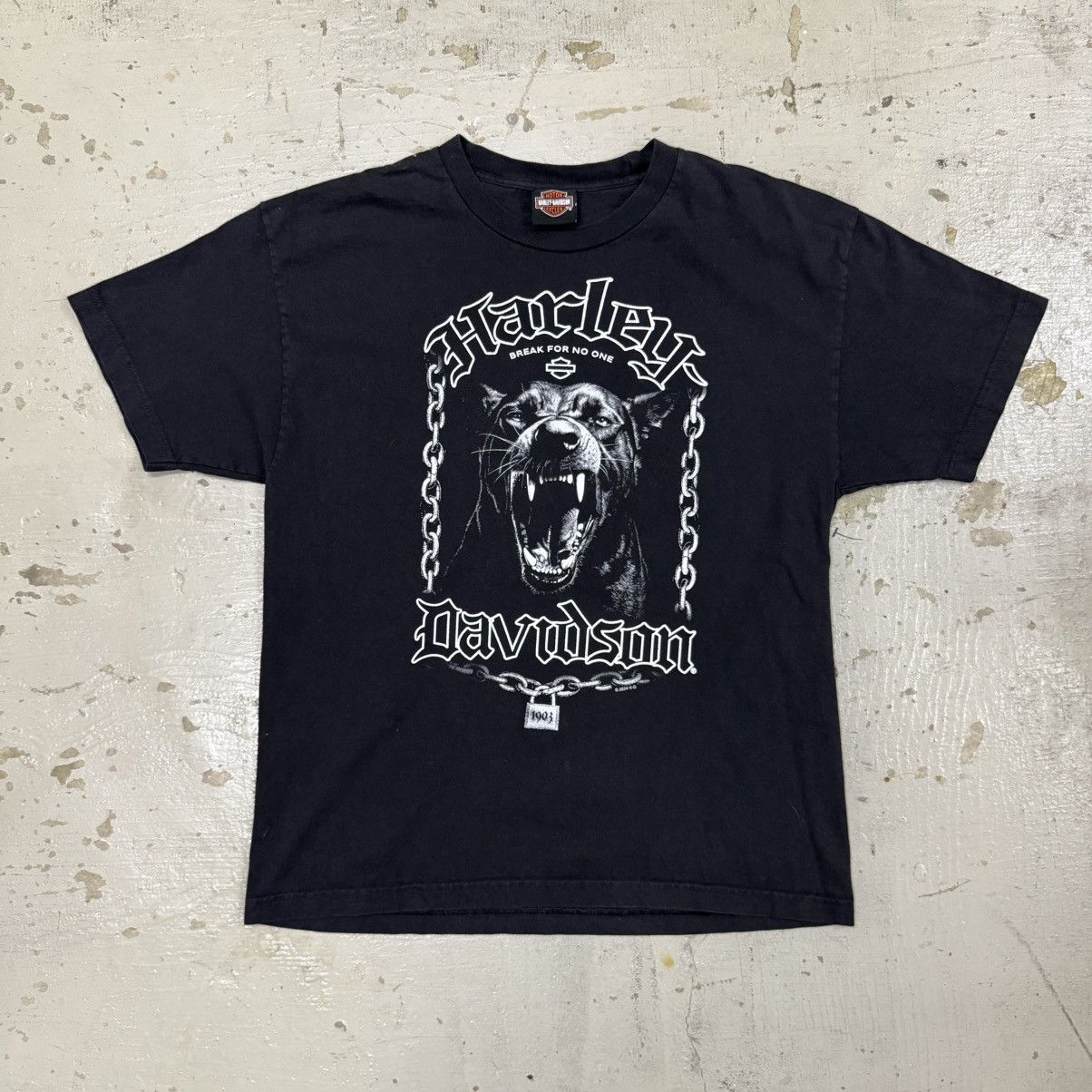 90's HARLEY DAVIDSON ブラックパンサー Tシャツ Kanye Harley Davidson Harley-Davidson Can't Chain the Power Panther
