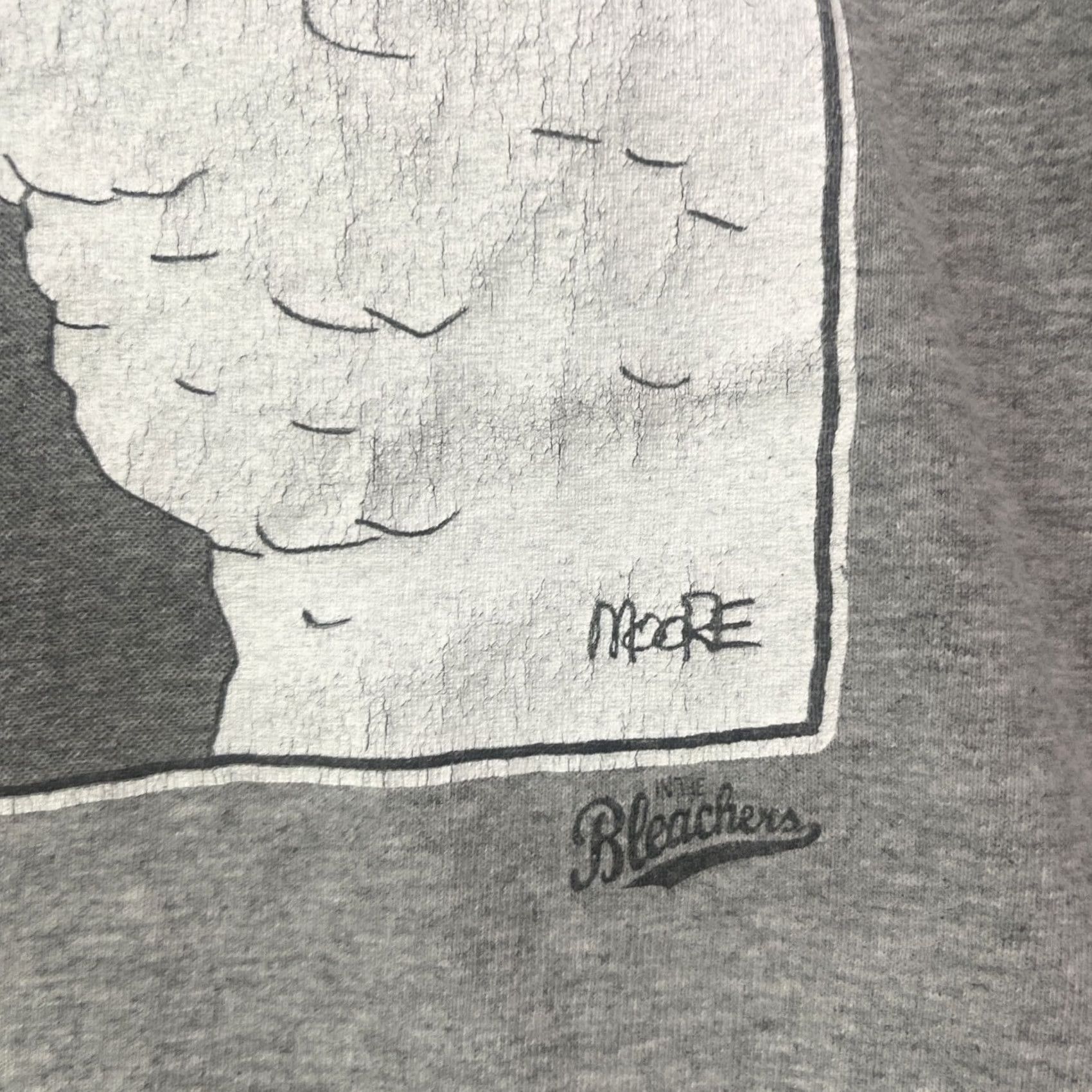 Gildan In The Bleachers Shirt Mens XL Gray Comic Strip Vintage Sandpoint Idaho 2001 Size US XL / EU 56 / 4 - 4 Thumbnail