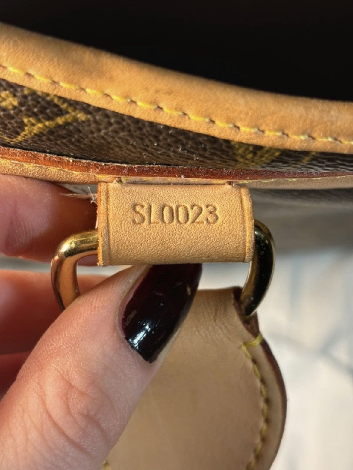 Louis Vuitton LOUIS VUITTON Sac Chien 40 monogram dog carrier shoulder bag Size ONE SIZE - 12 Thumbnail