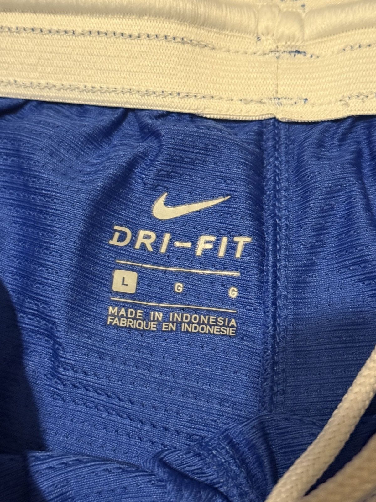 Nike Nike Dri Fit Shorts Blue White Large Size US 28 / EU 44 - 7 Thumbnail