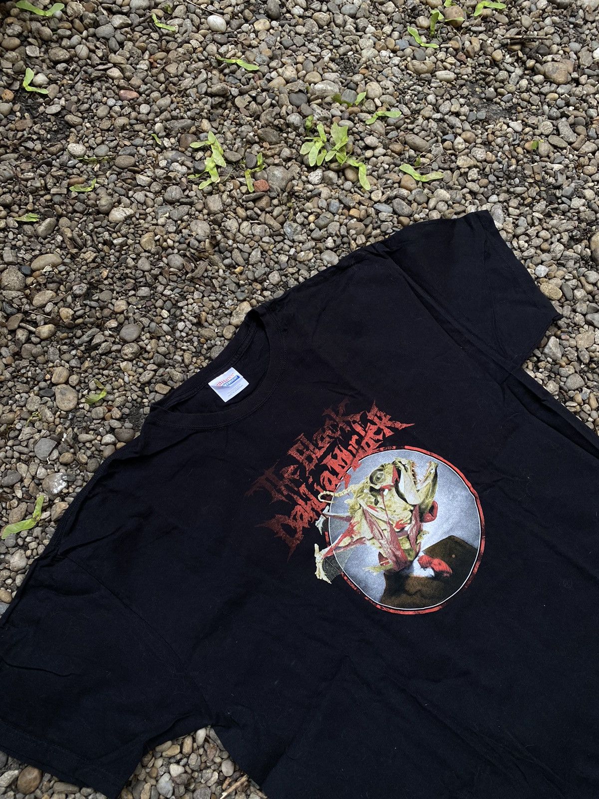 Band Tees × Vintage Vintage The Black Dahlia Murder T-Shirt Death Metal Size US XL / EU 56 / 4 - 2 Thumbnail